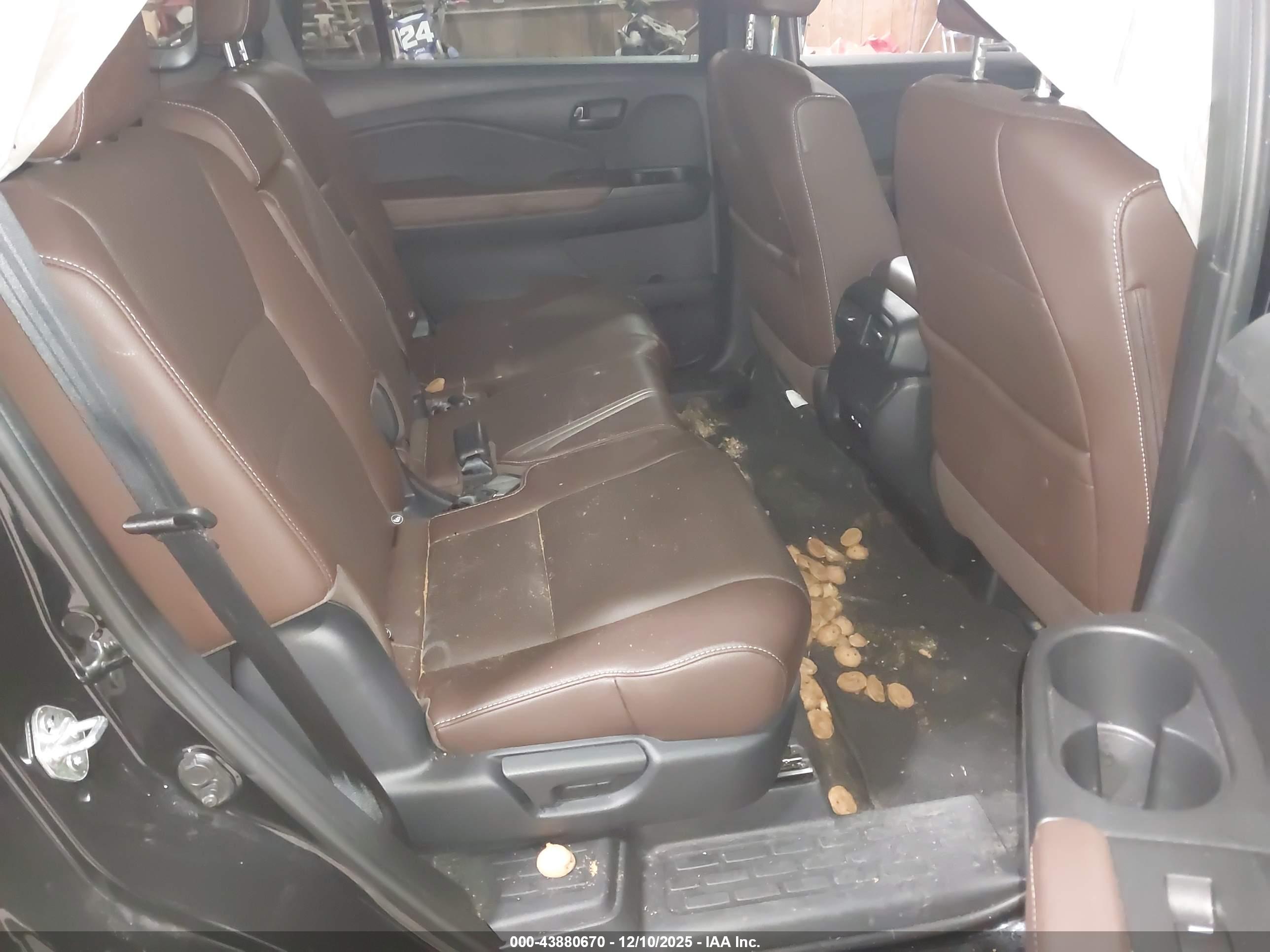 HONDA PASSPORT image 8