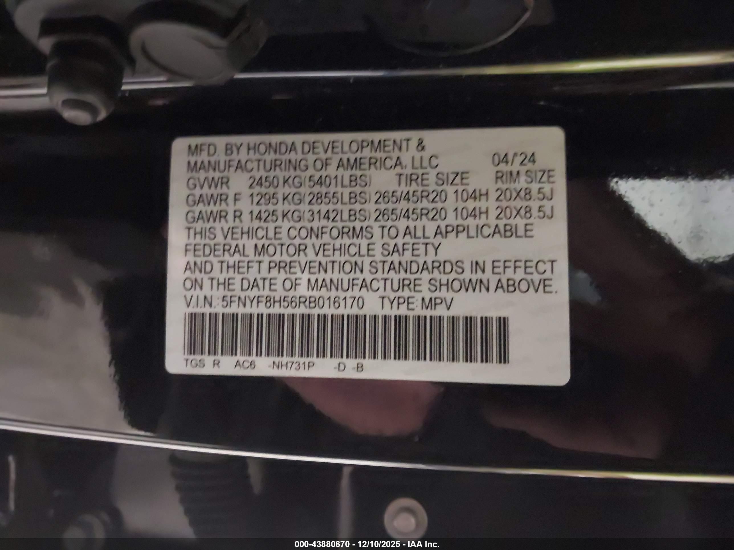 HONDA PASSPORT image 9