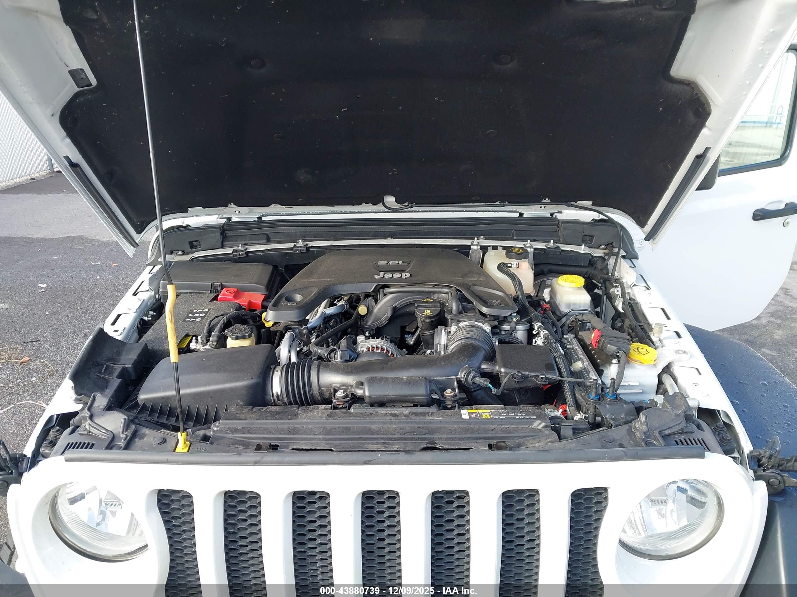 JEEP WRANGLER image 10