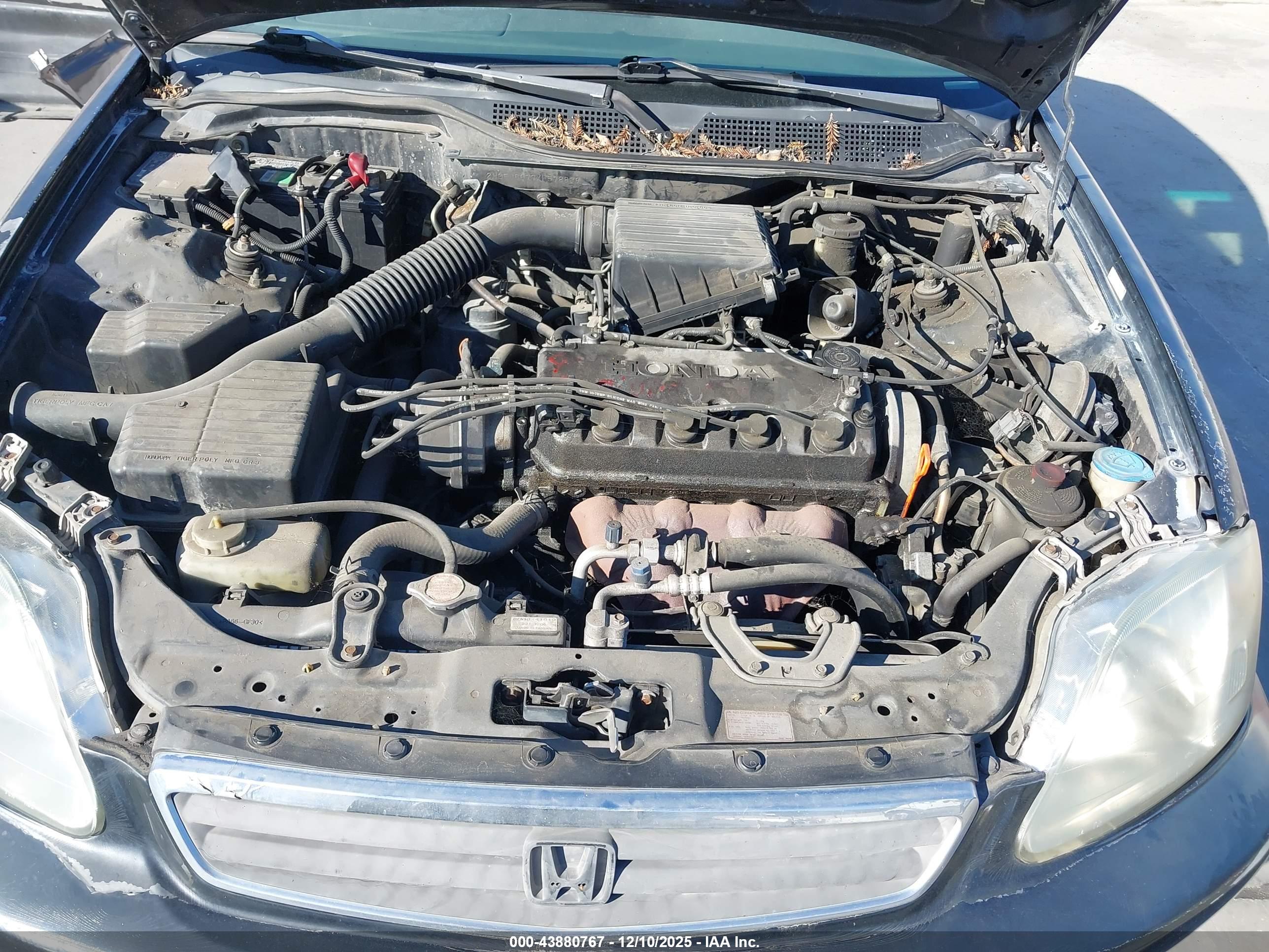 HONDA CIVIC image 10