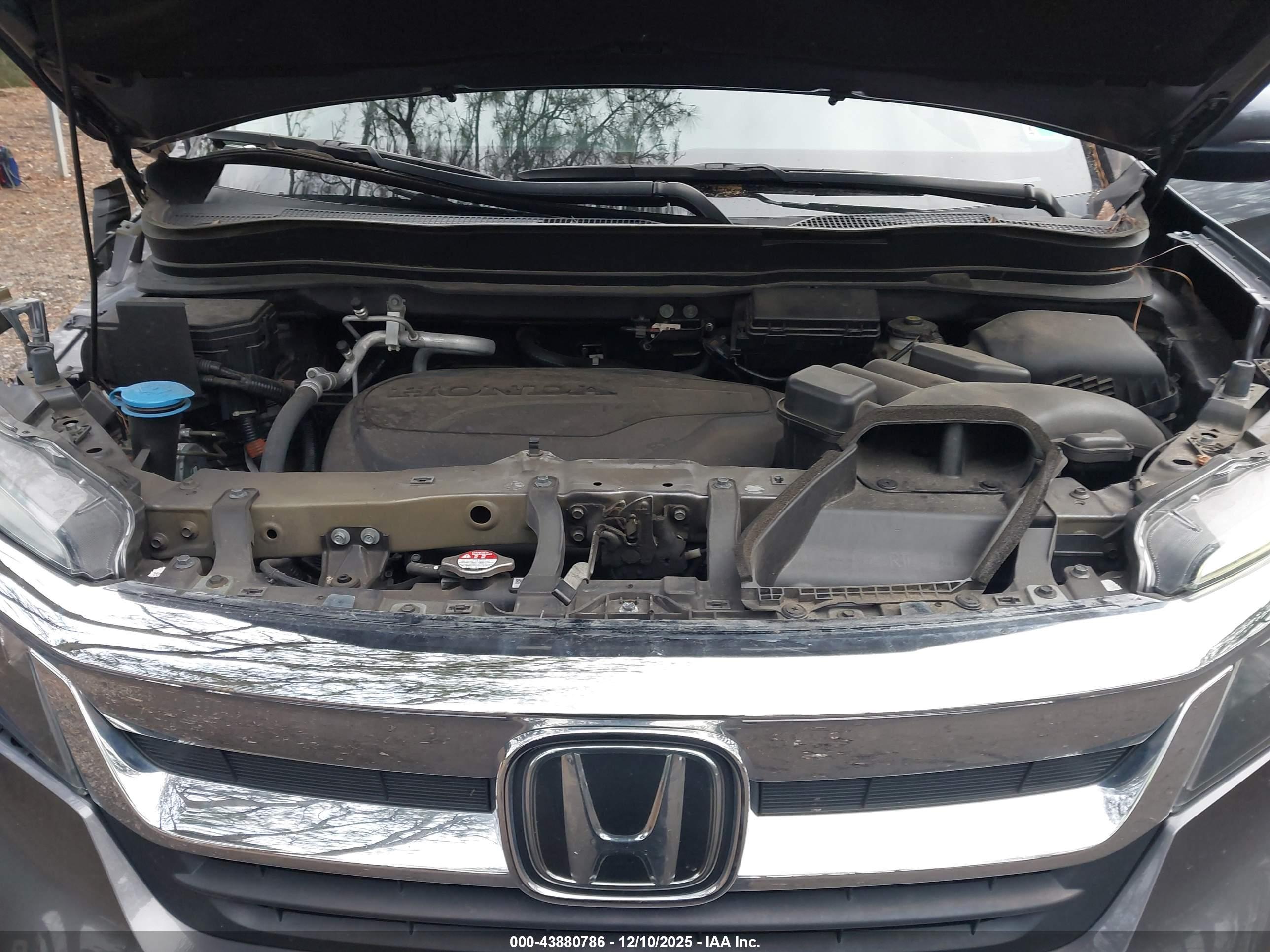HONDA PILOT image 10