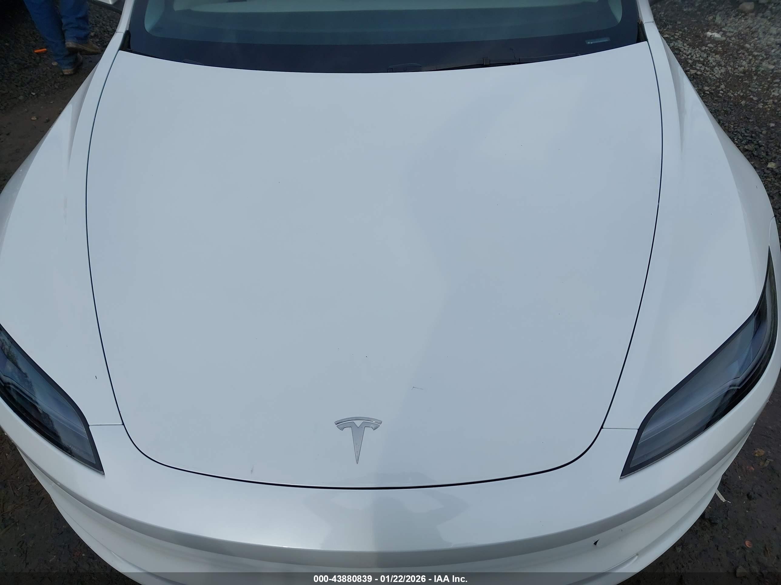 TESLA MODEL image 10