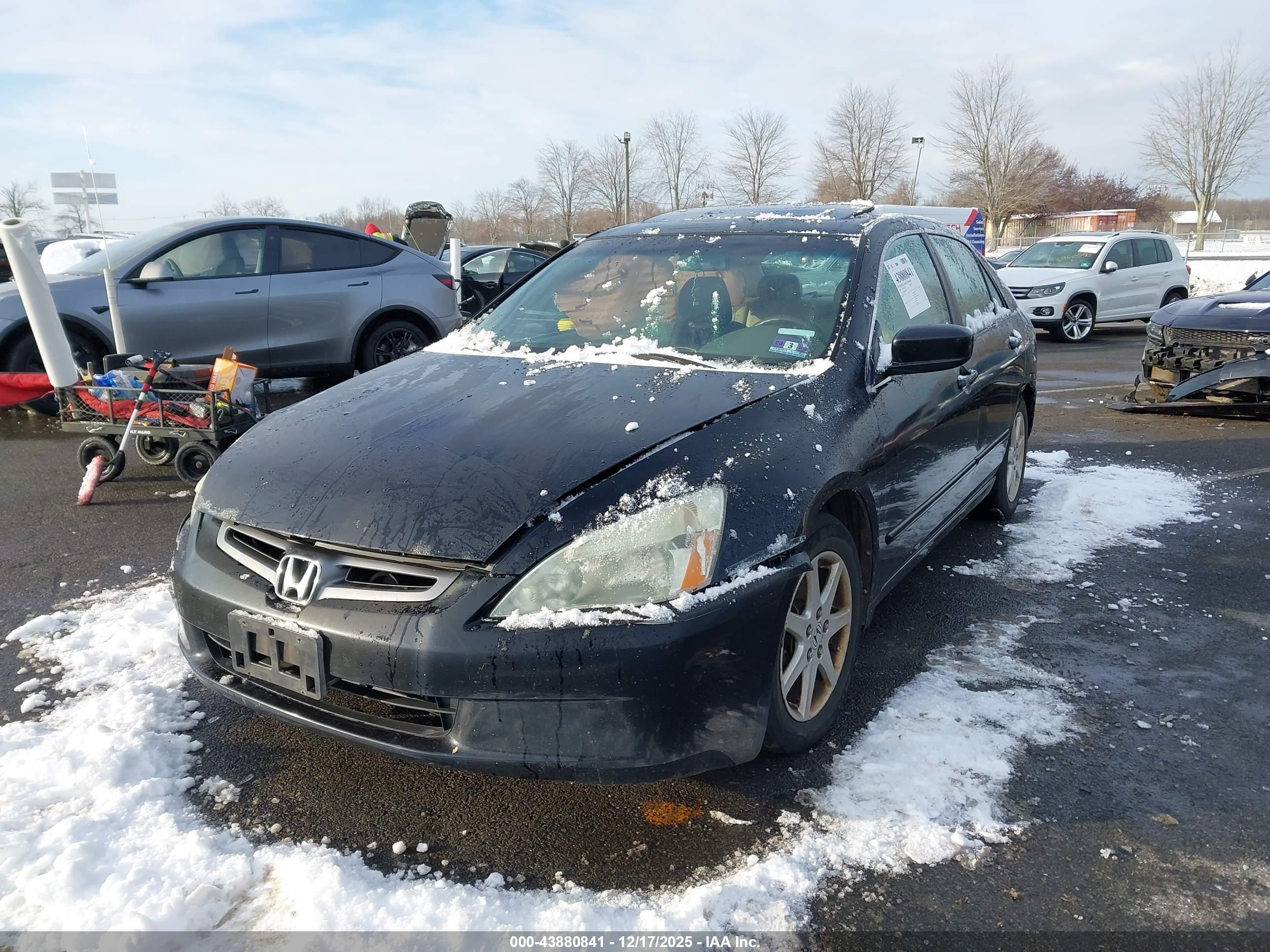 HONDA ACCORD image 2