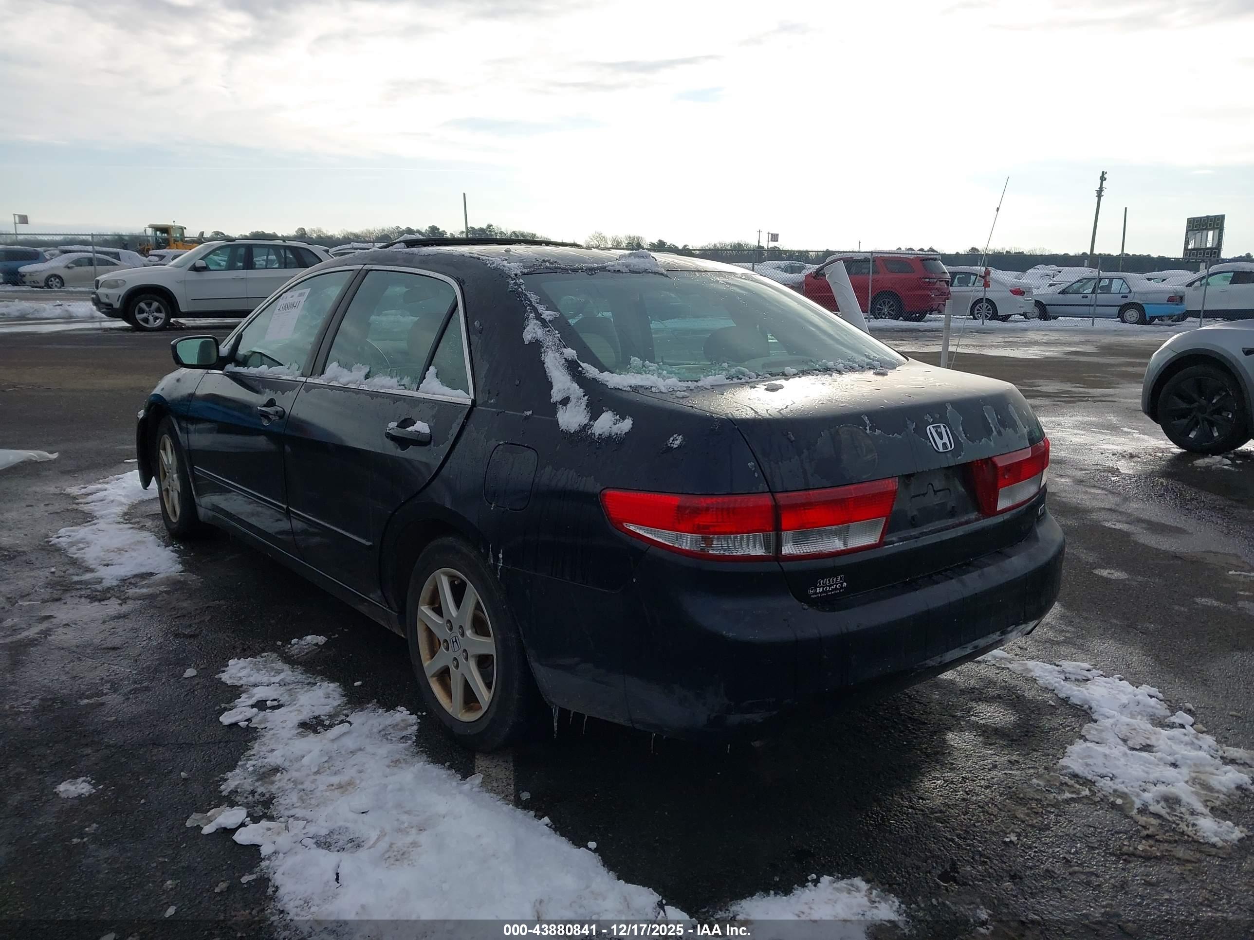 HONDA ACCORD image 3