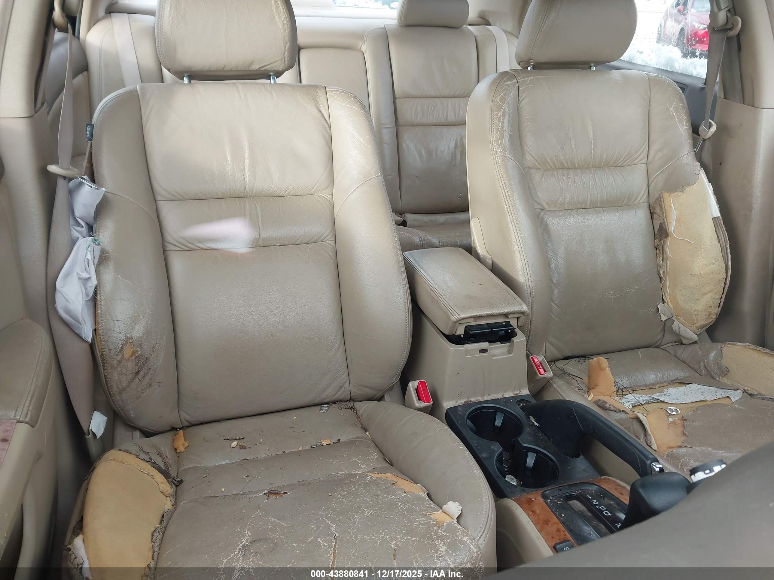 HONDA ACCORD image 5