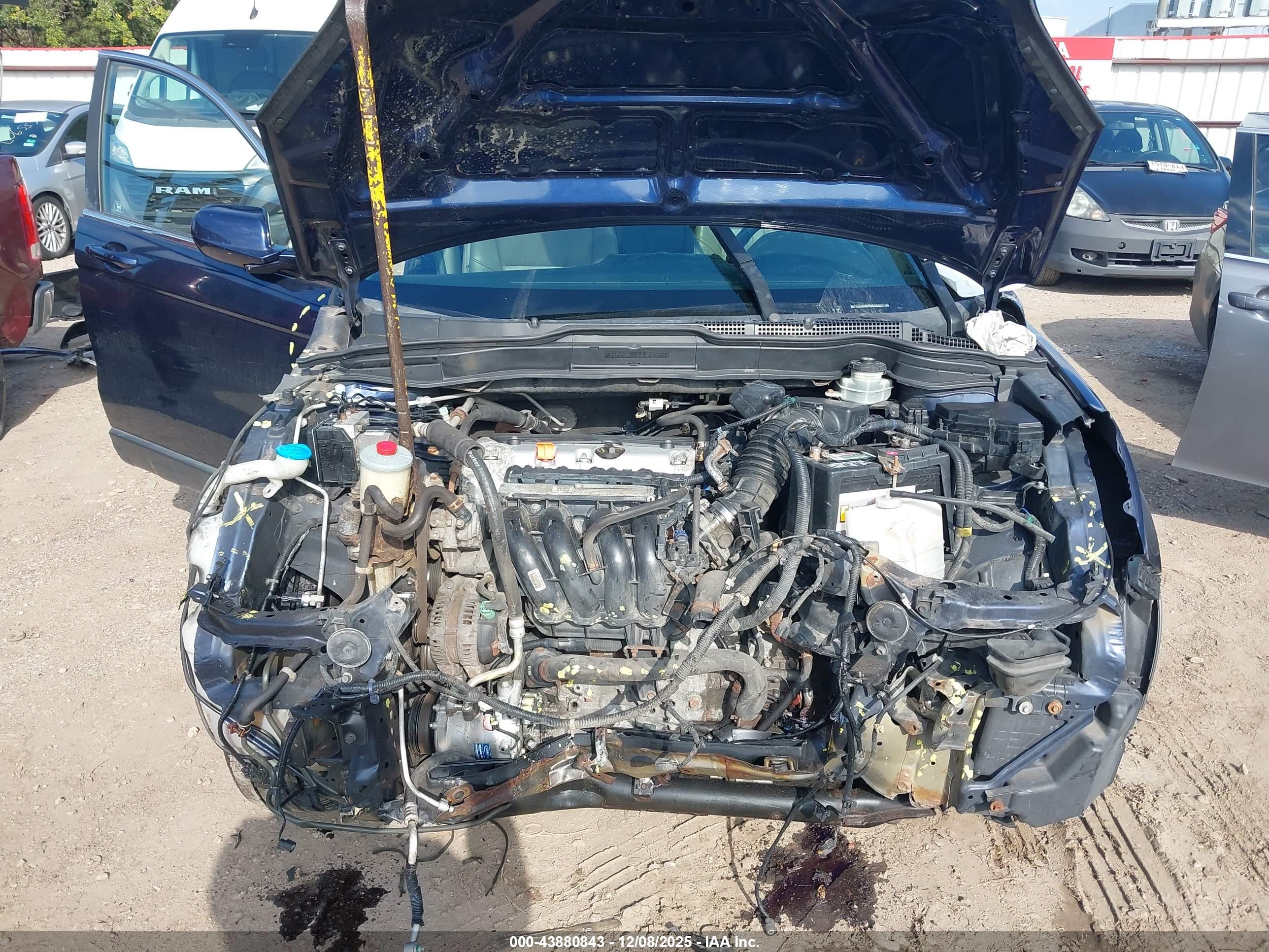 HONDA CR-V image 10