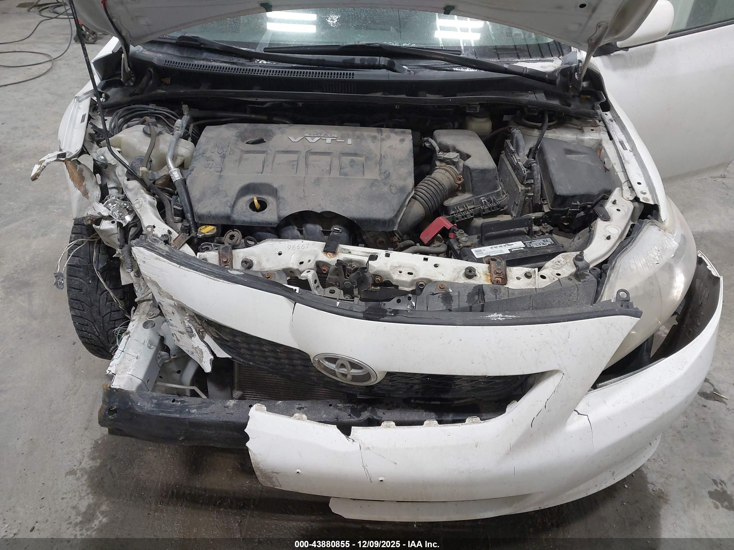 TOYOTA COROLLA image 10