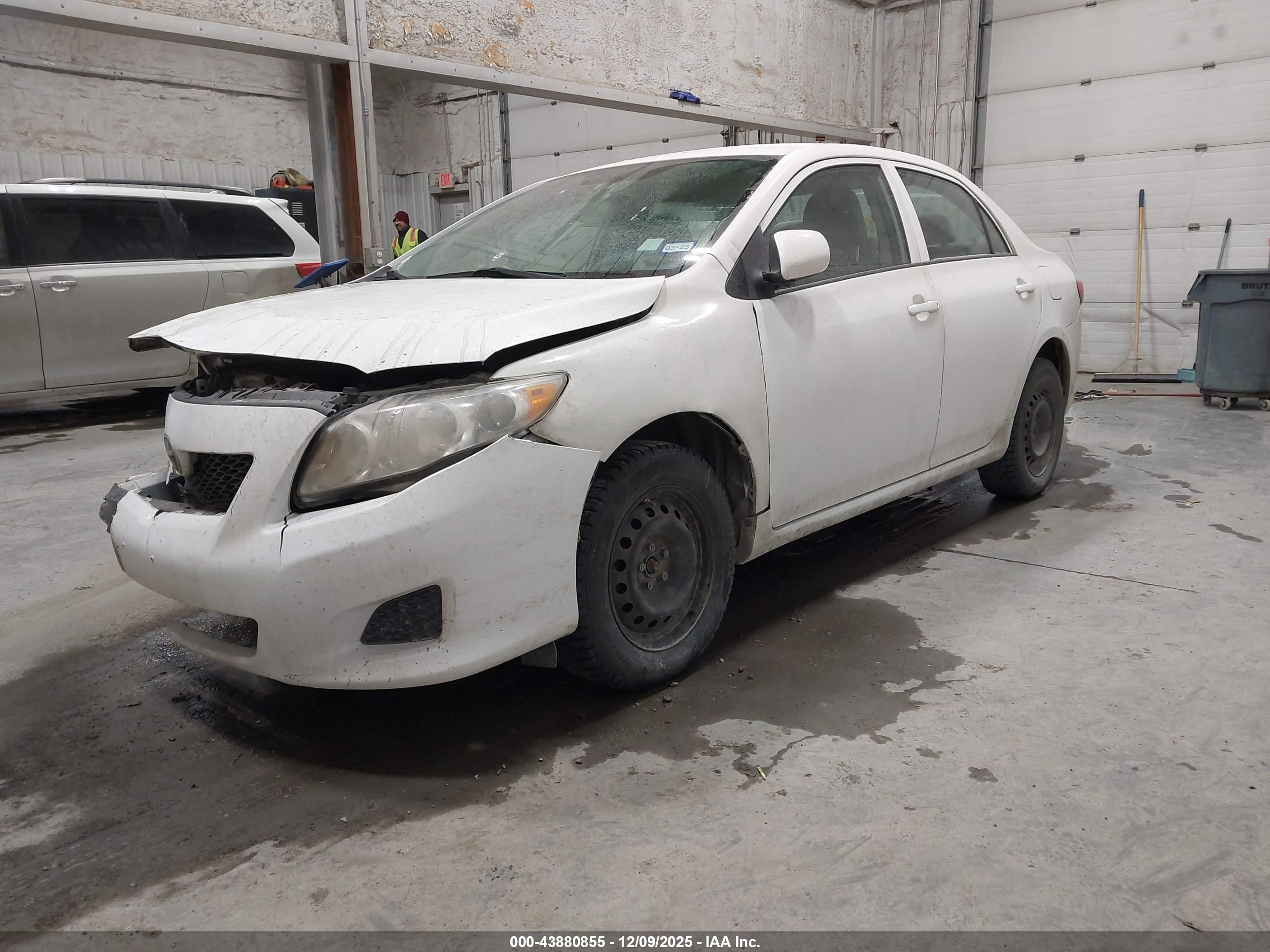 TOYOTA COROLLA image 2