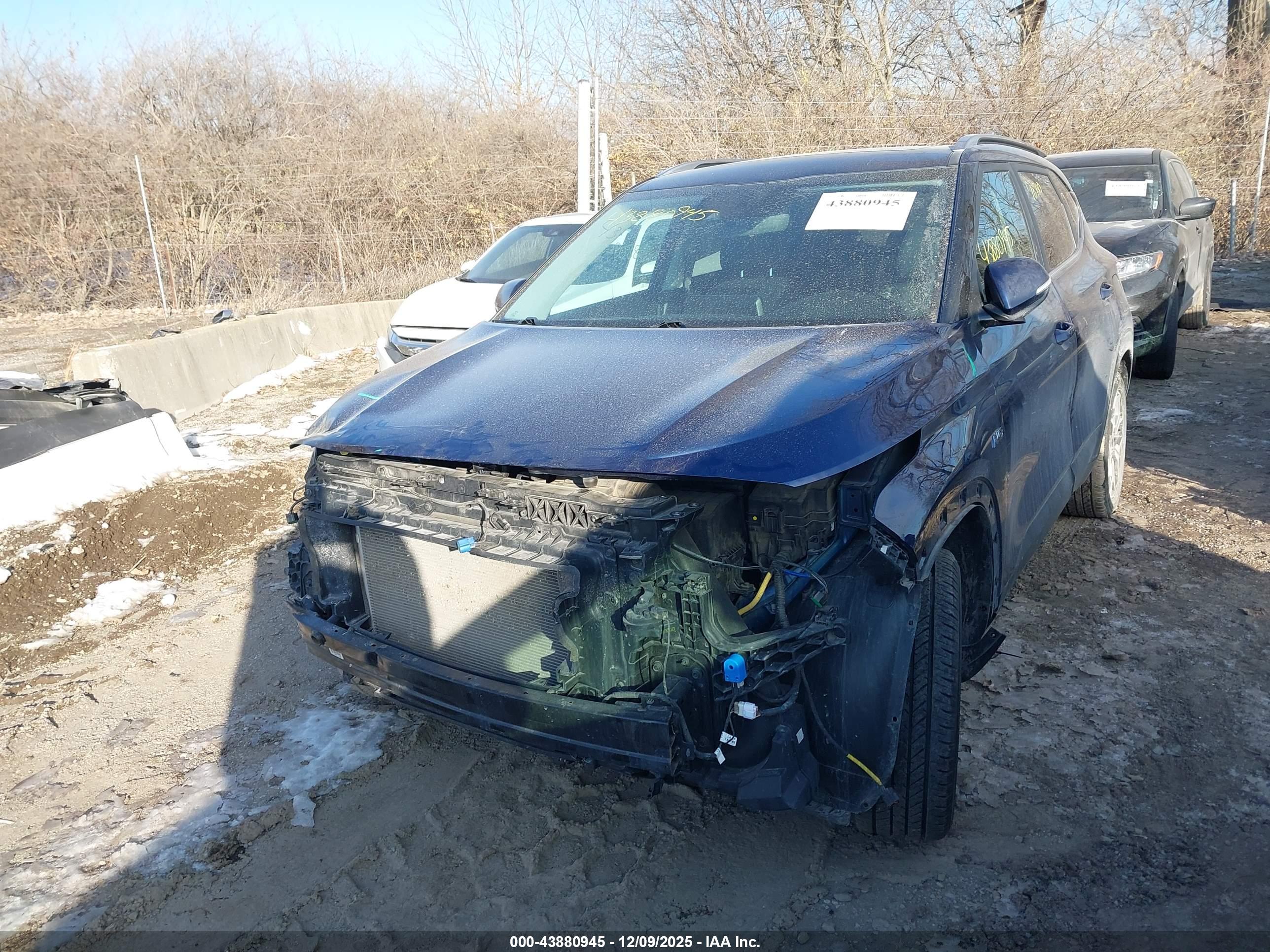 KIA SELTOS image 2