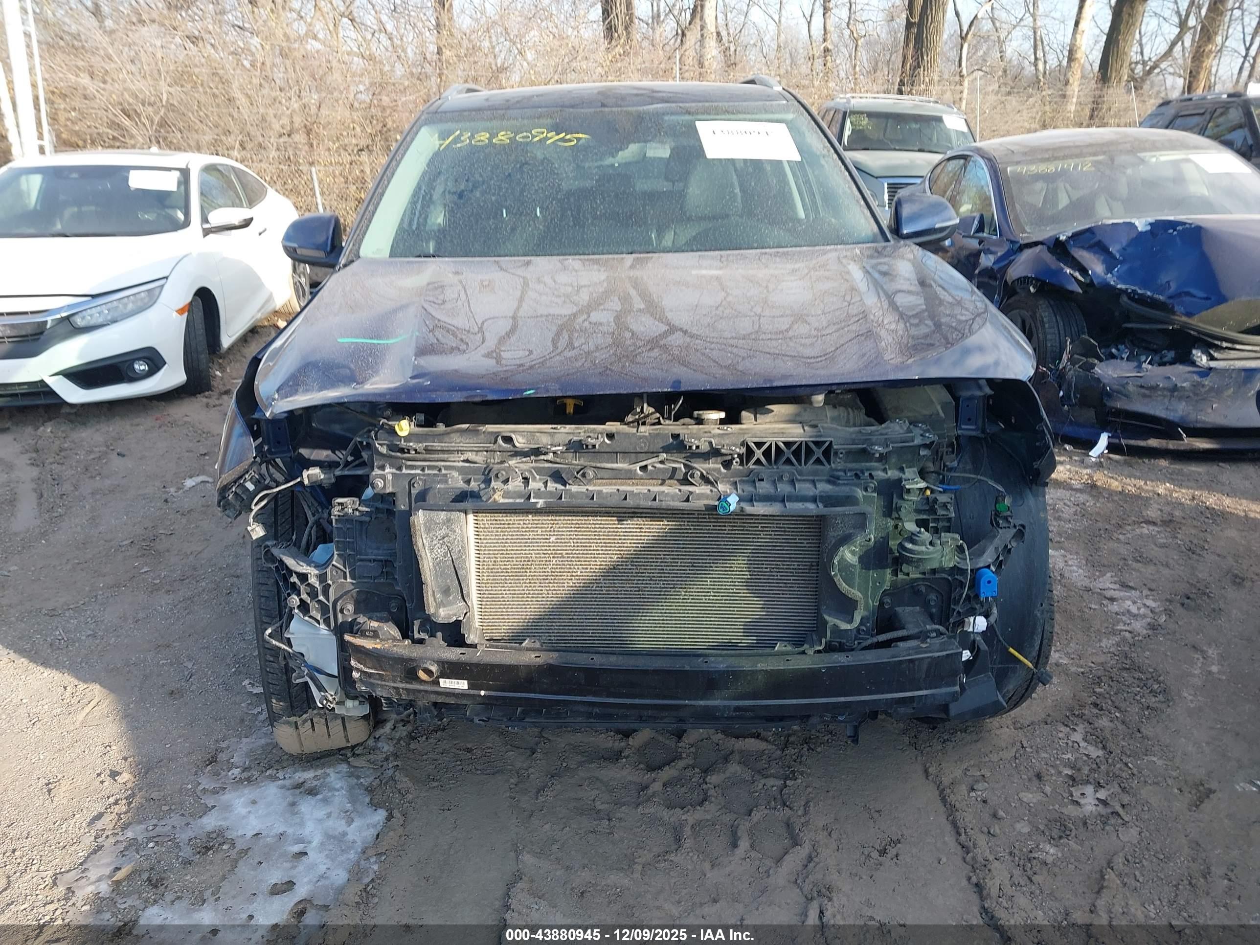 KIA SELTOS image 6