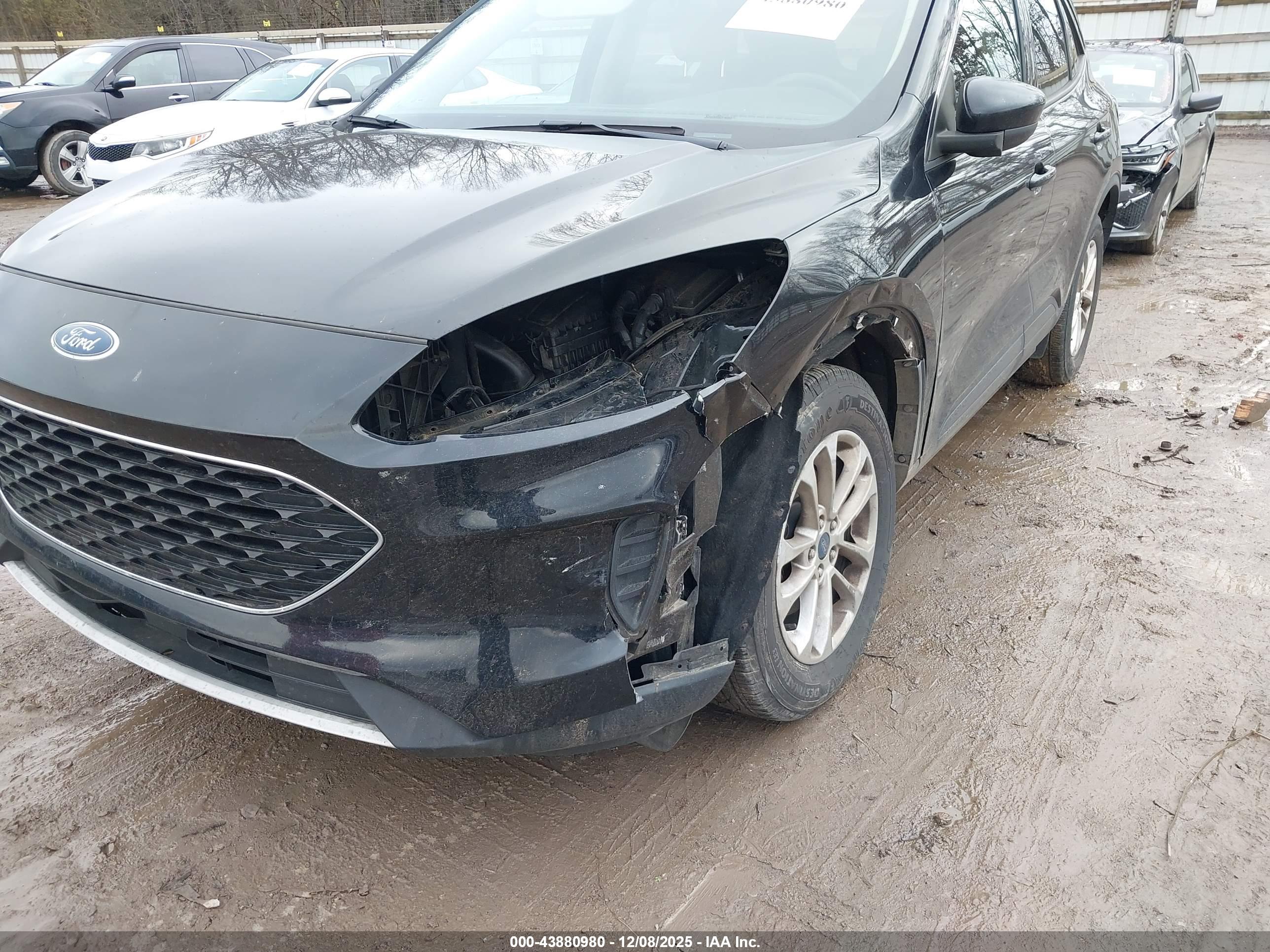 FORD ESCAPE image 6
