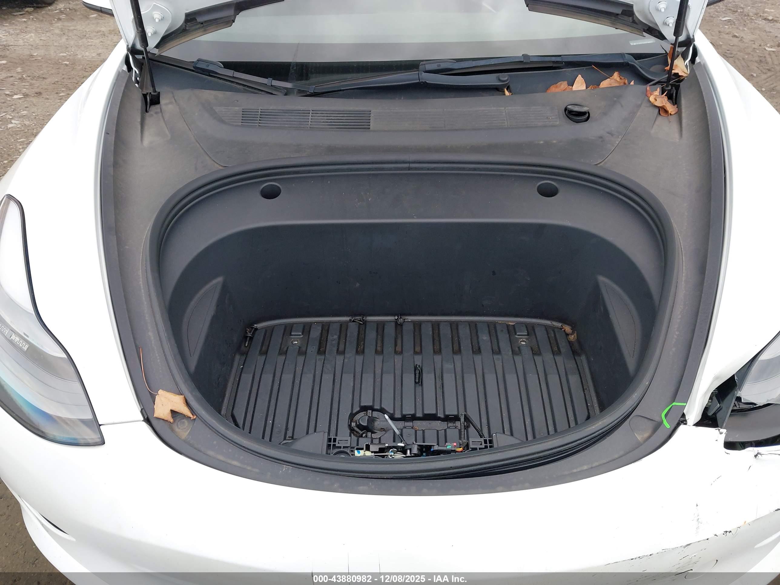 TESLA MODEL image 10