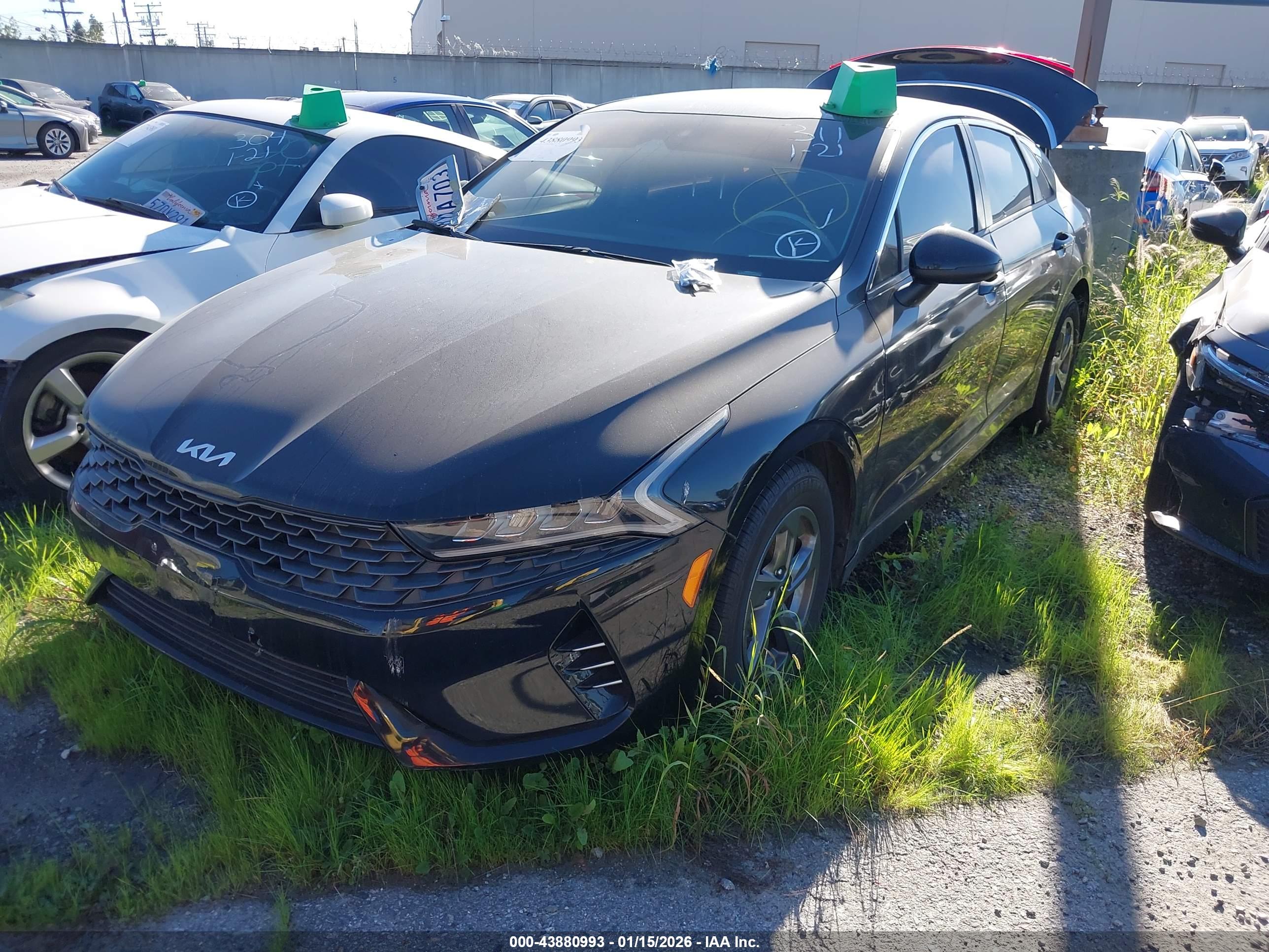 KIA K5 image 2