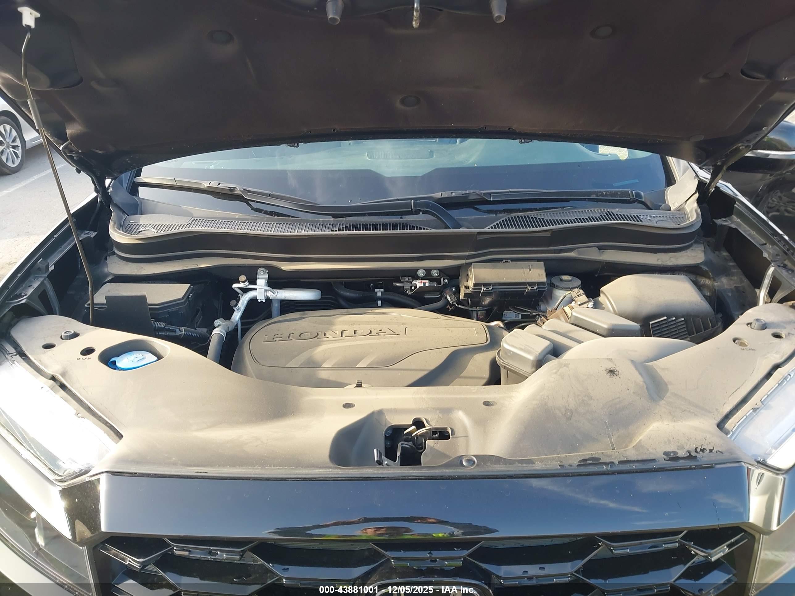 HONDA PASSPORT image 10