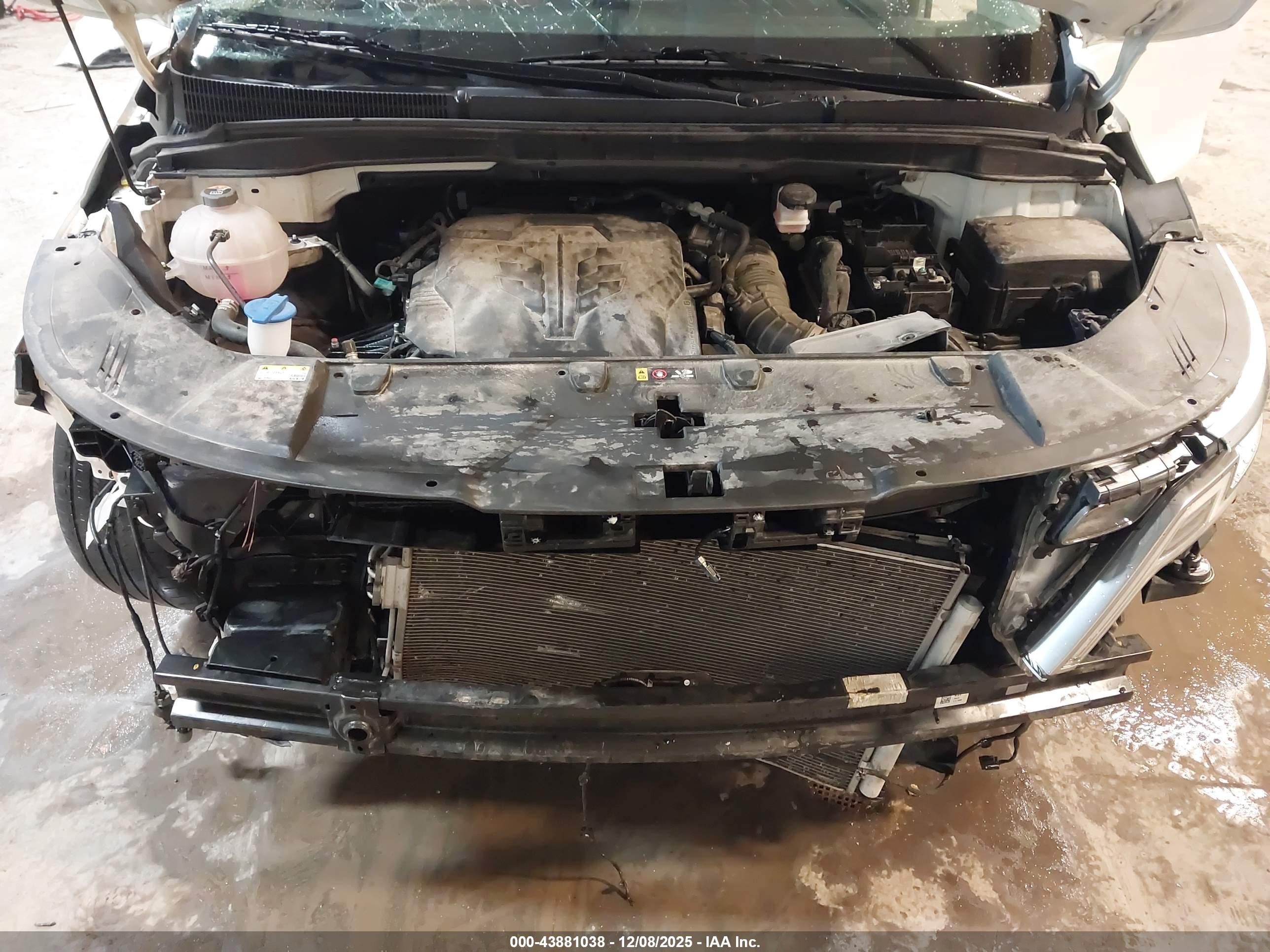 KIA CARNIVAL image 10