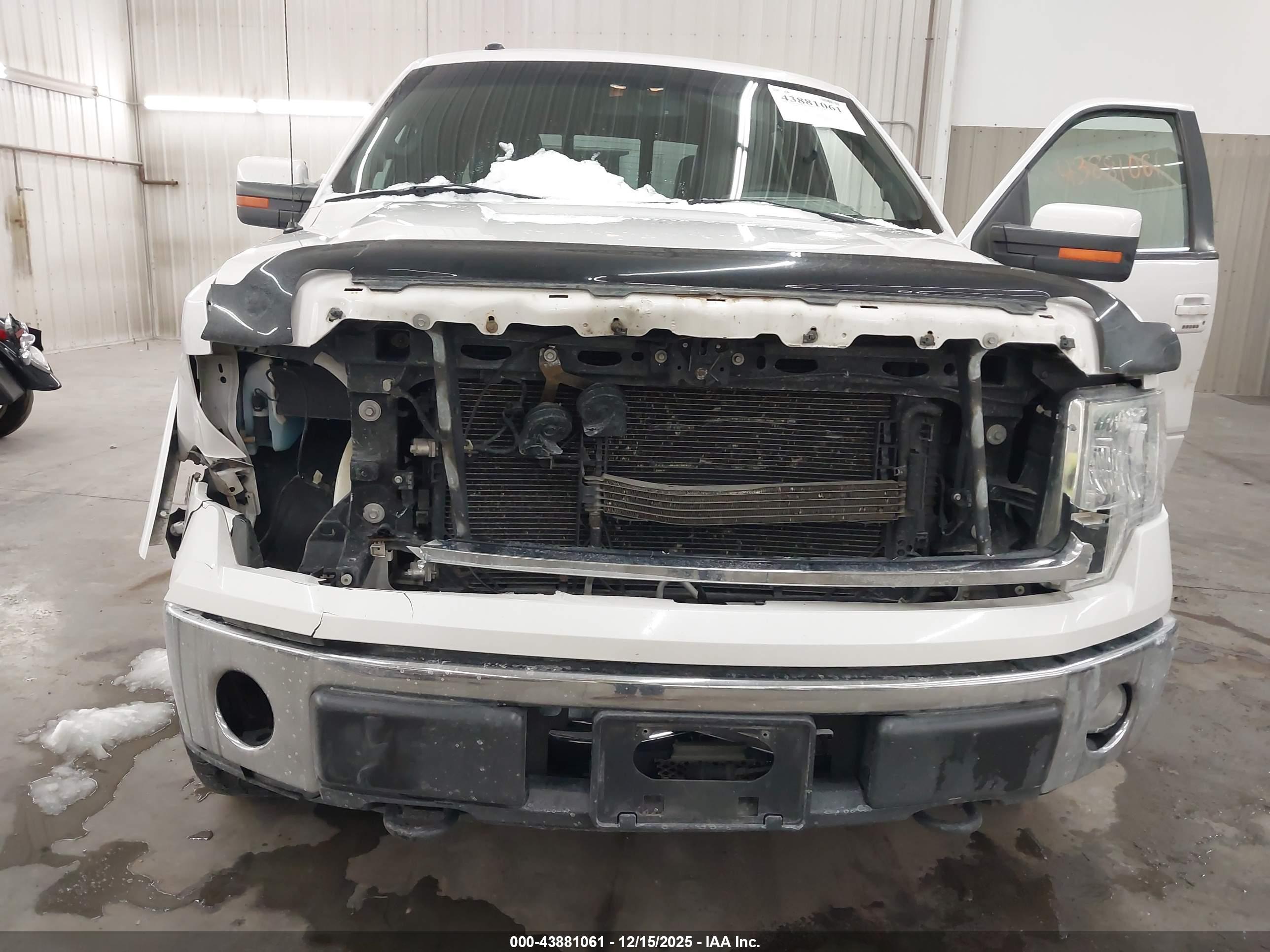 FORD F-150 image 6