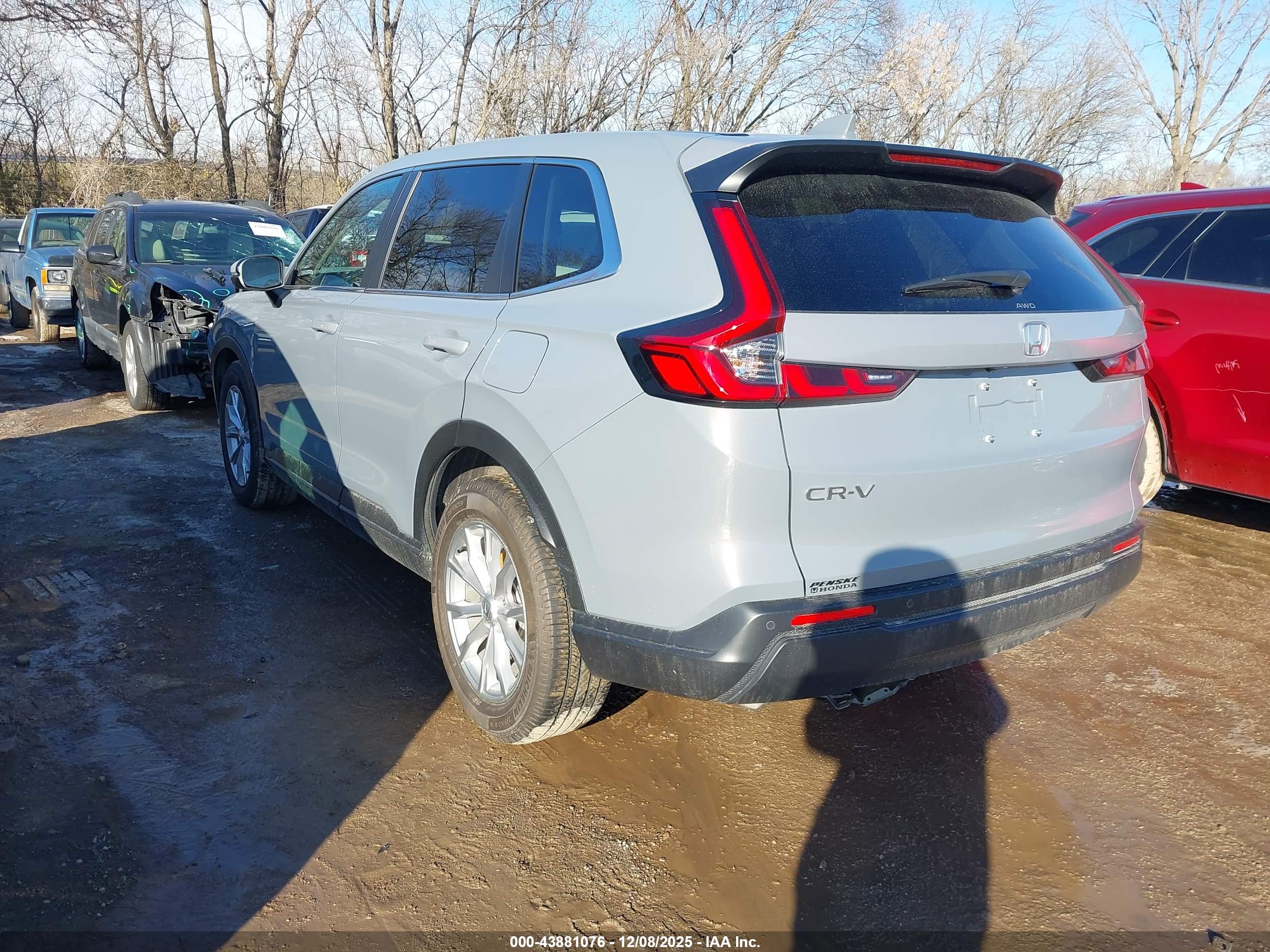 HONDA CR-V image 3