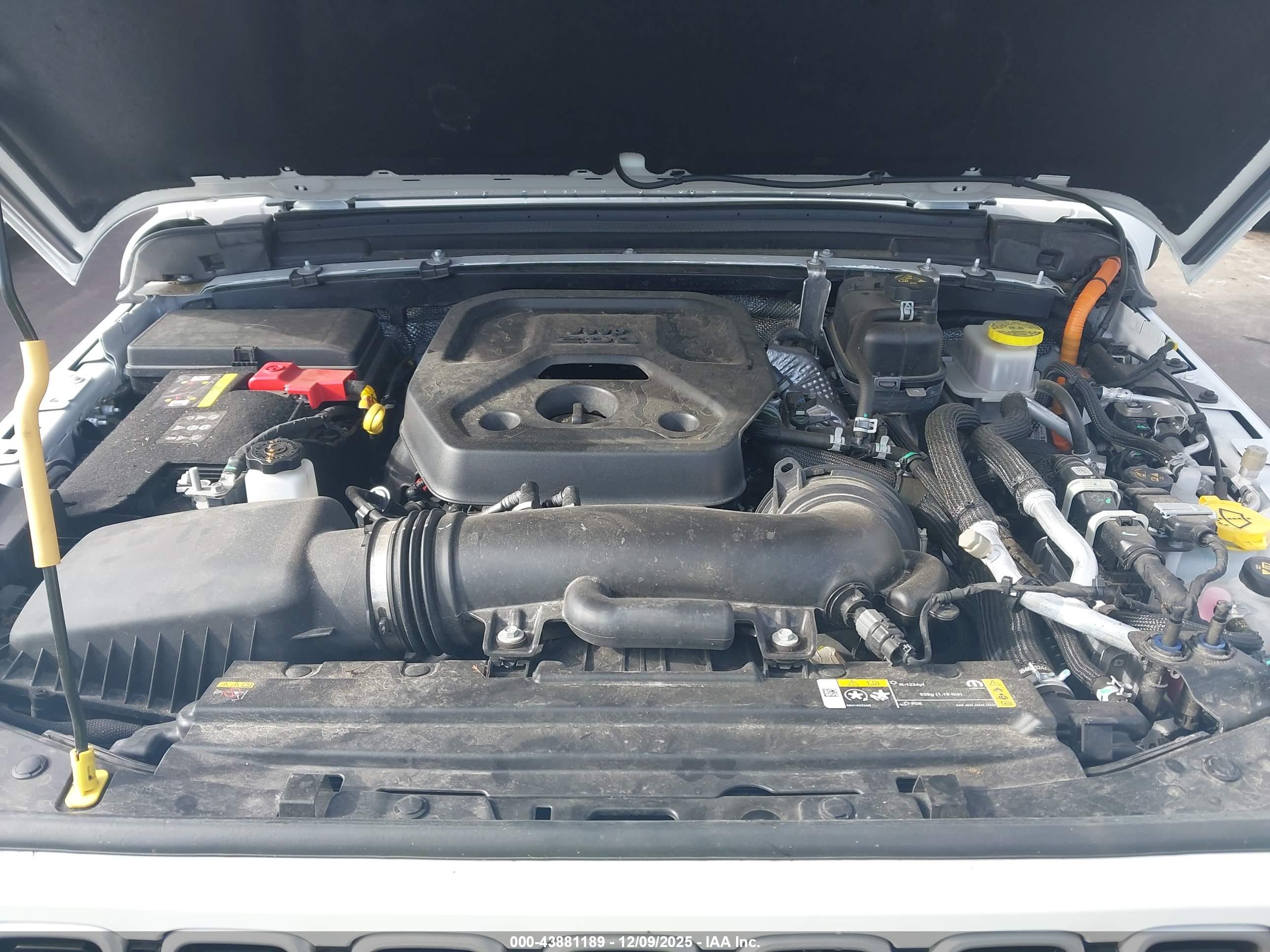 JEEP WRANGLER image 10