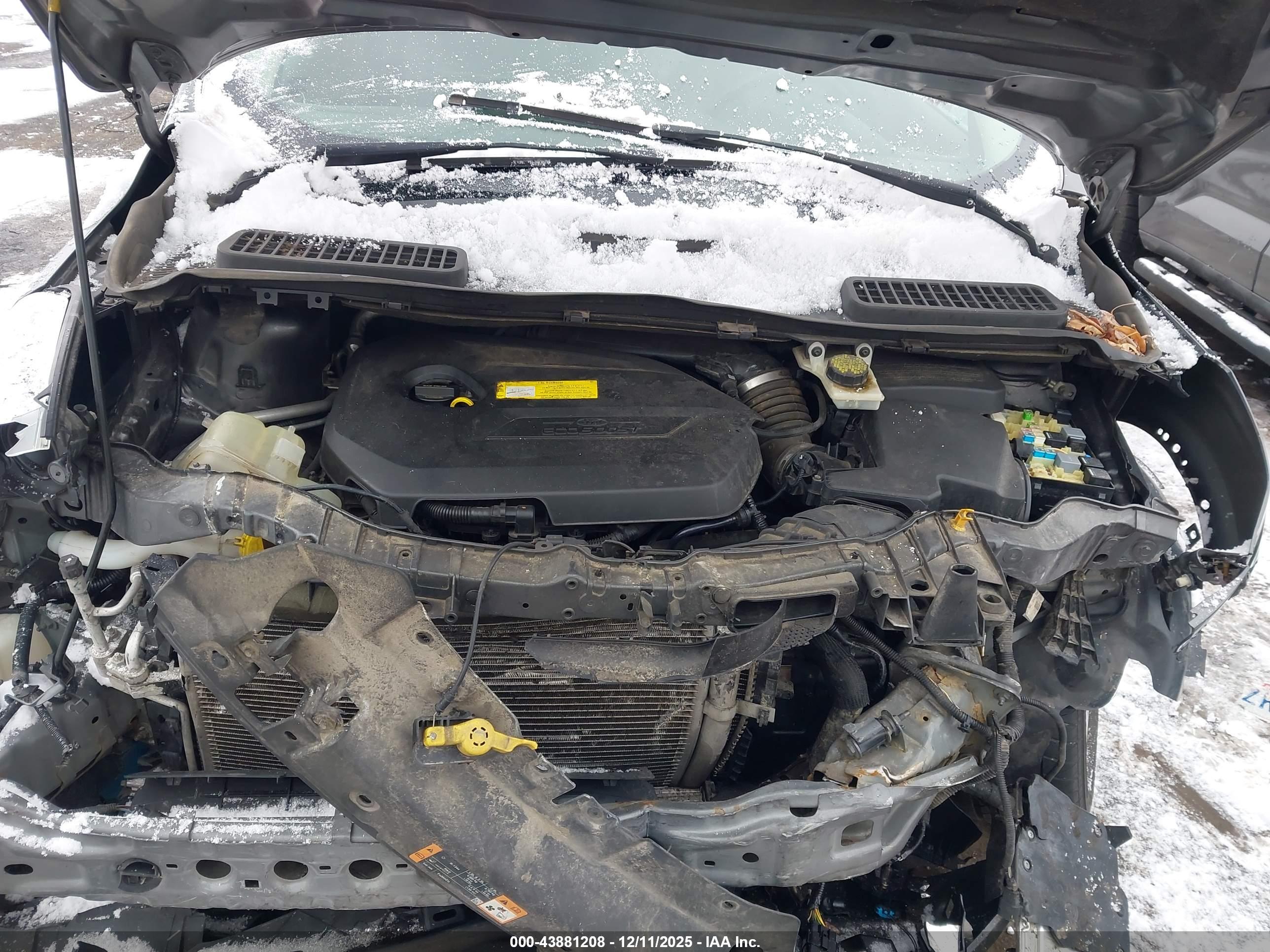FORD ESCAPE image 10