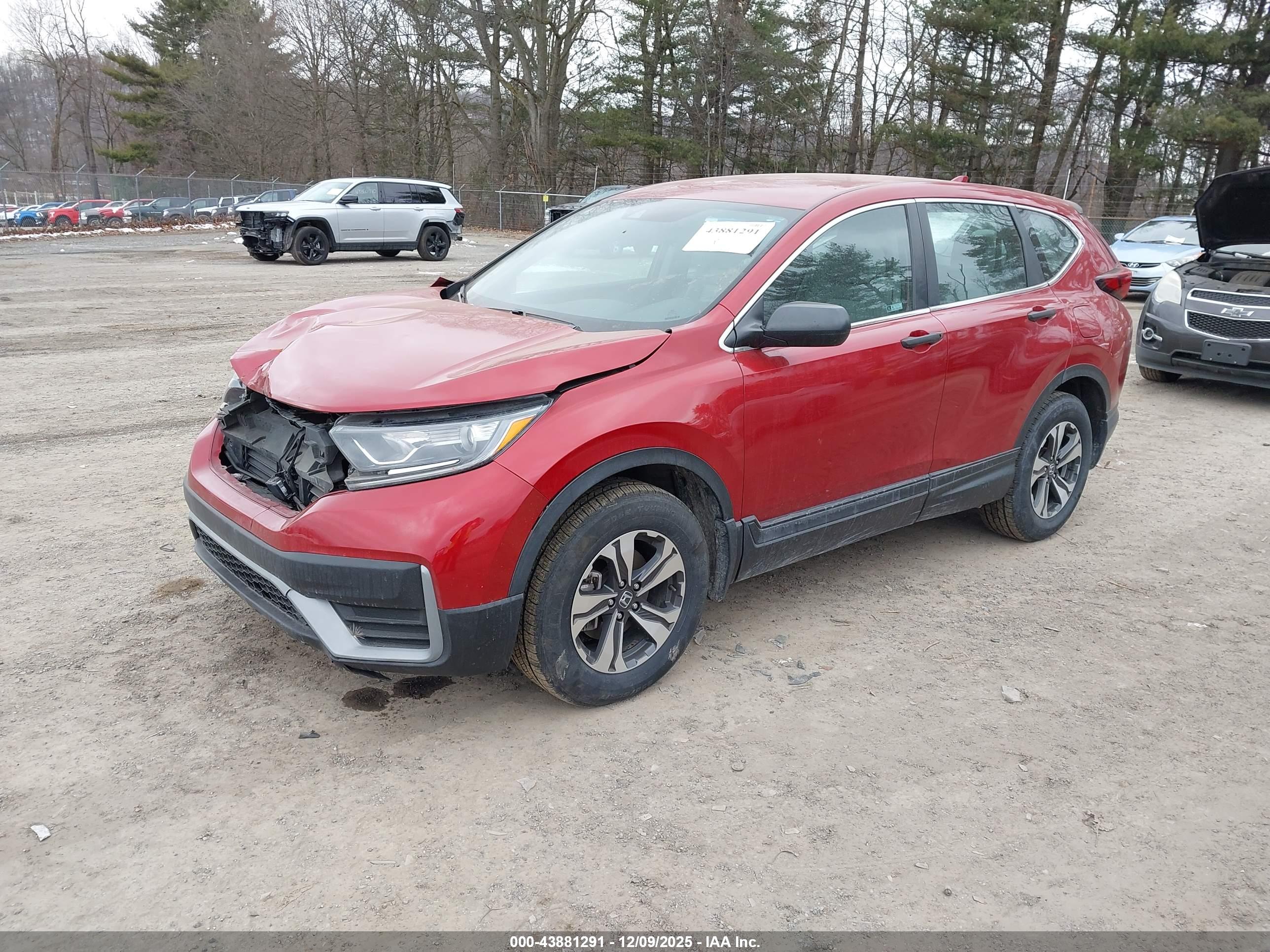 HONDA CR-V image 2