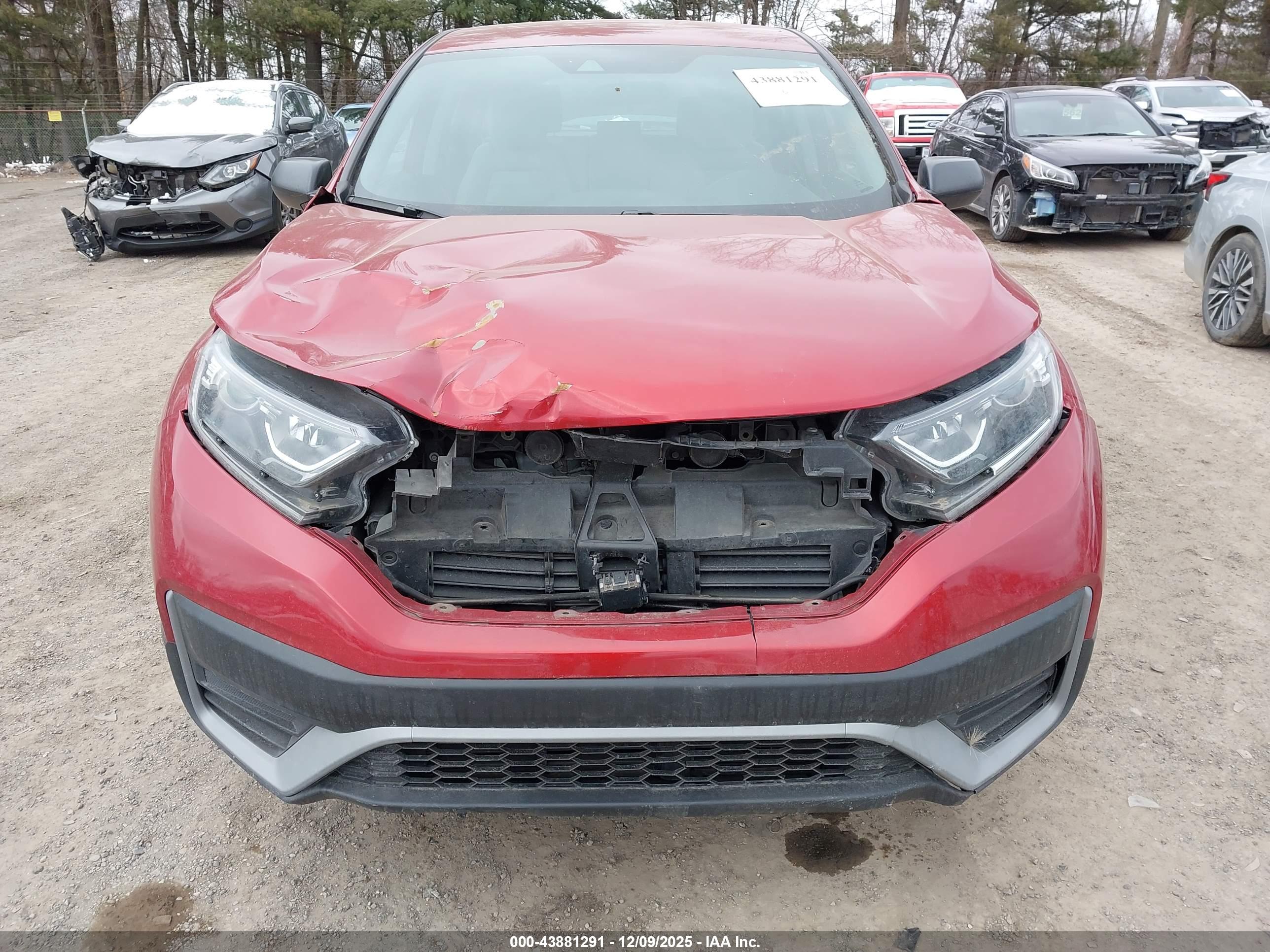 HONDA CR-V image 6
