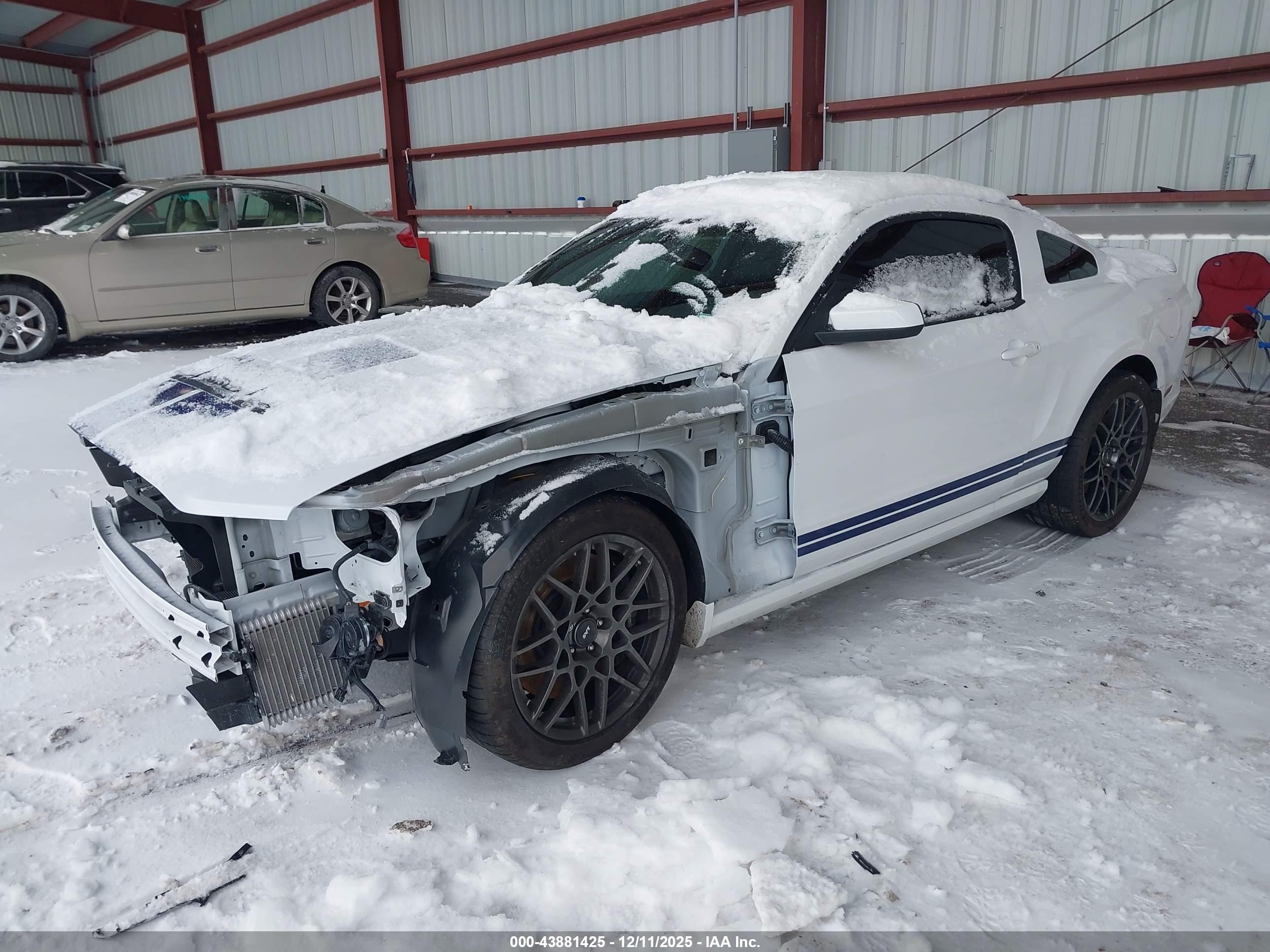 FORD SHELBY image 2