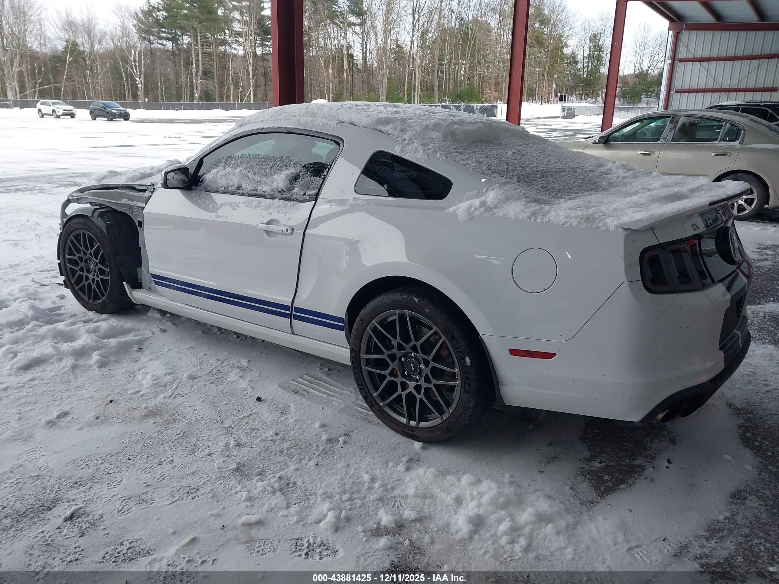FORD SHELBY image 3
