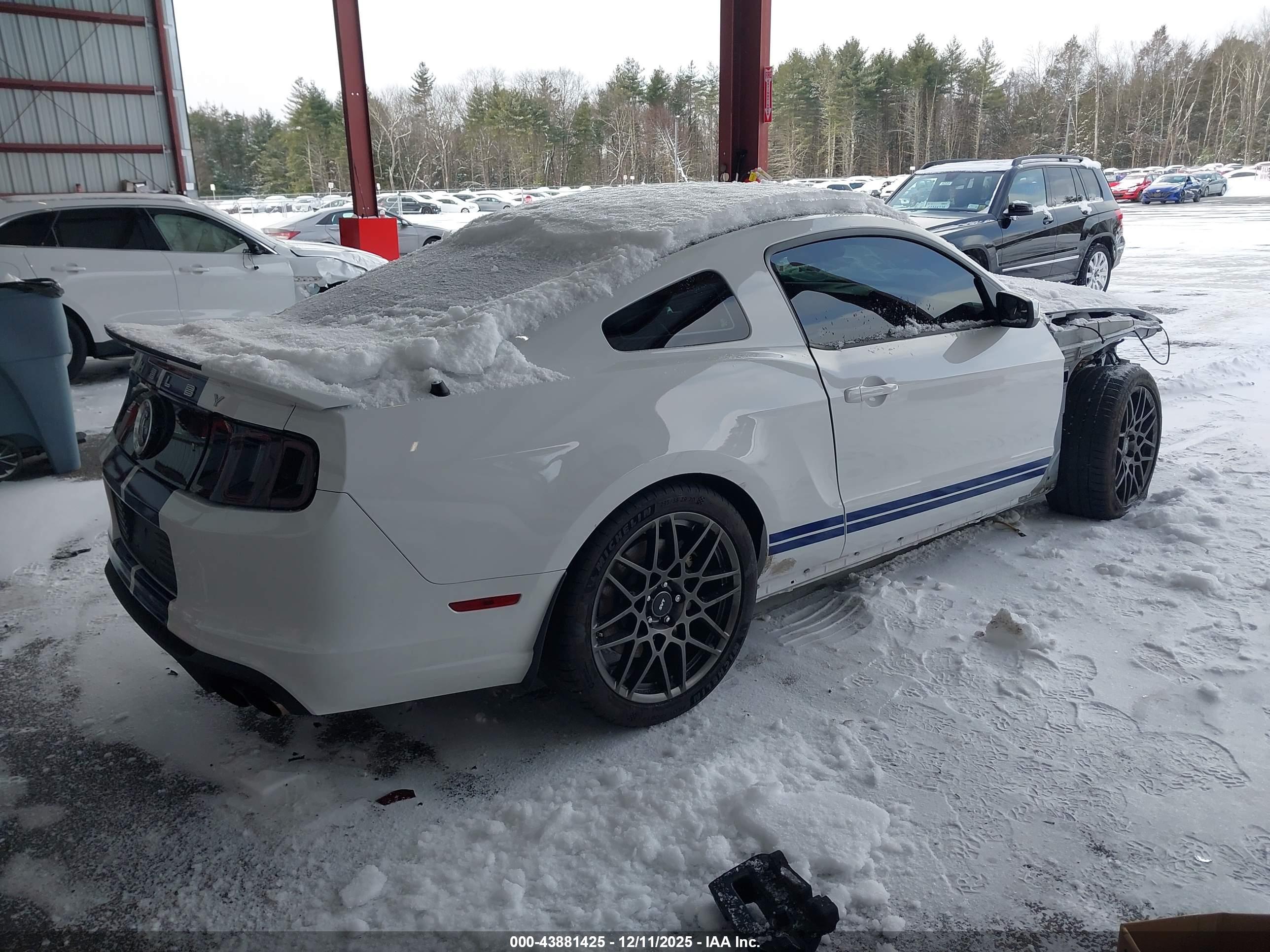 FORD SHELBY image 4