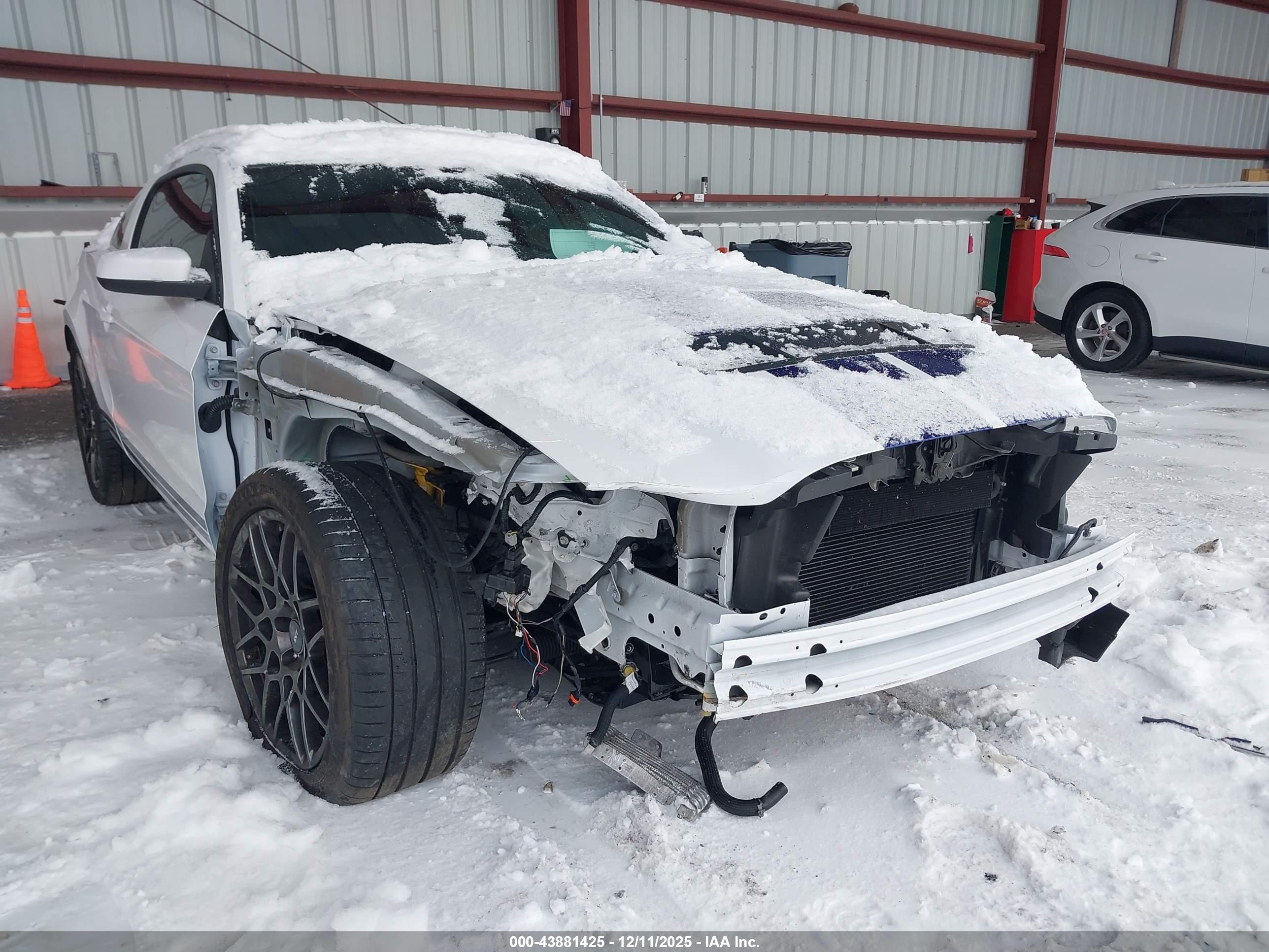 FORD SHELBY image 6