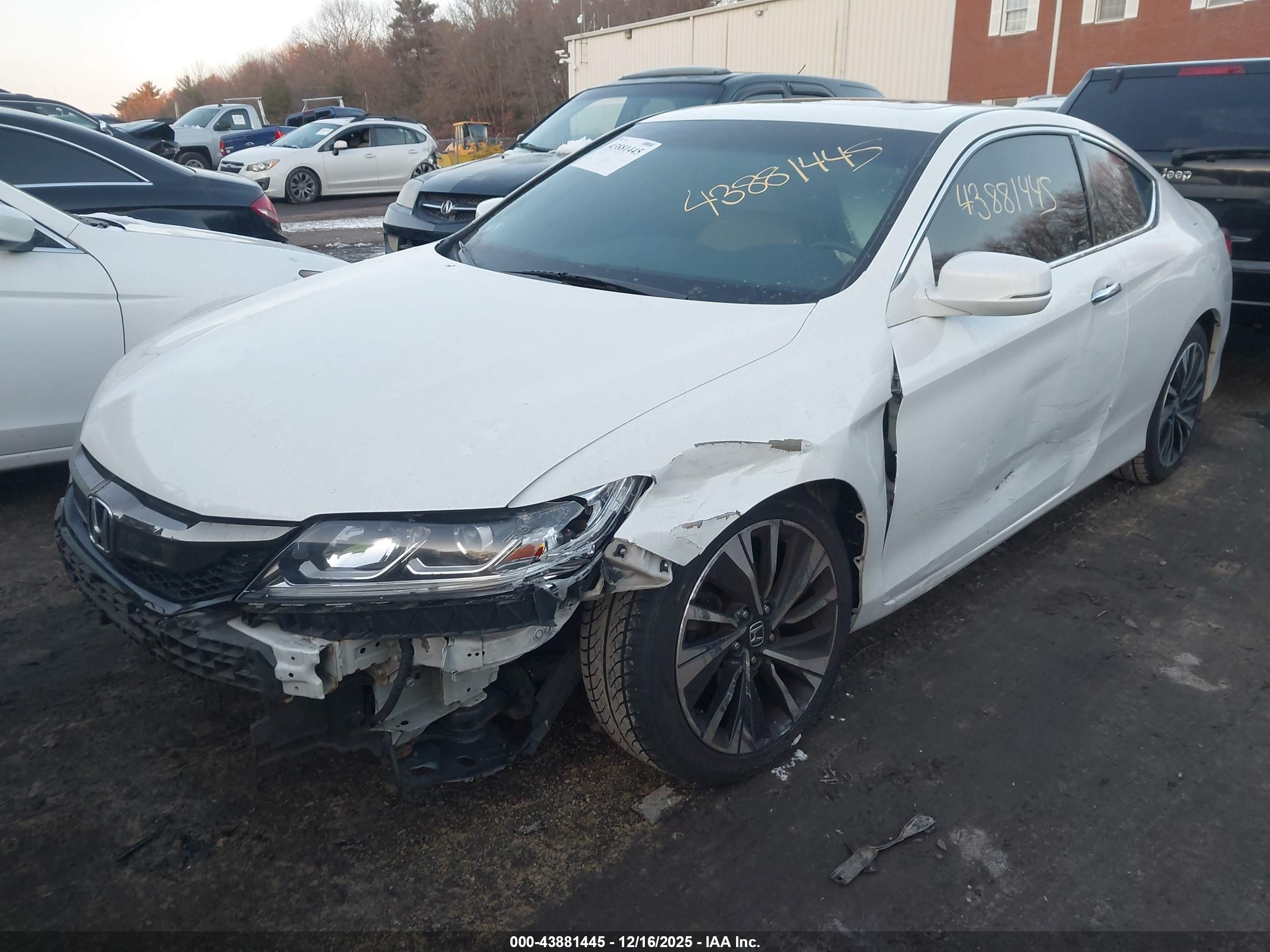 HONDA ACCORD image 2