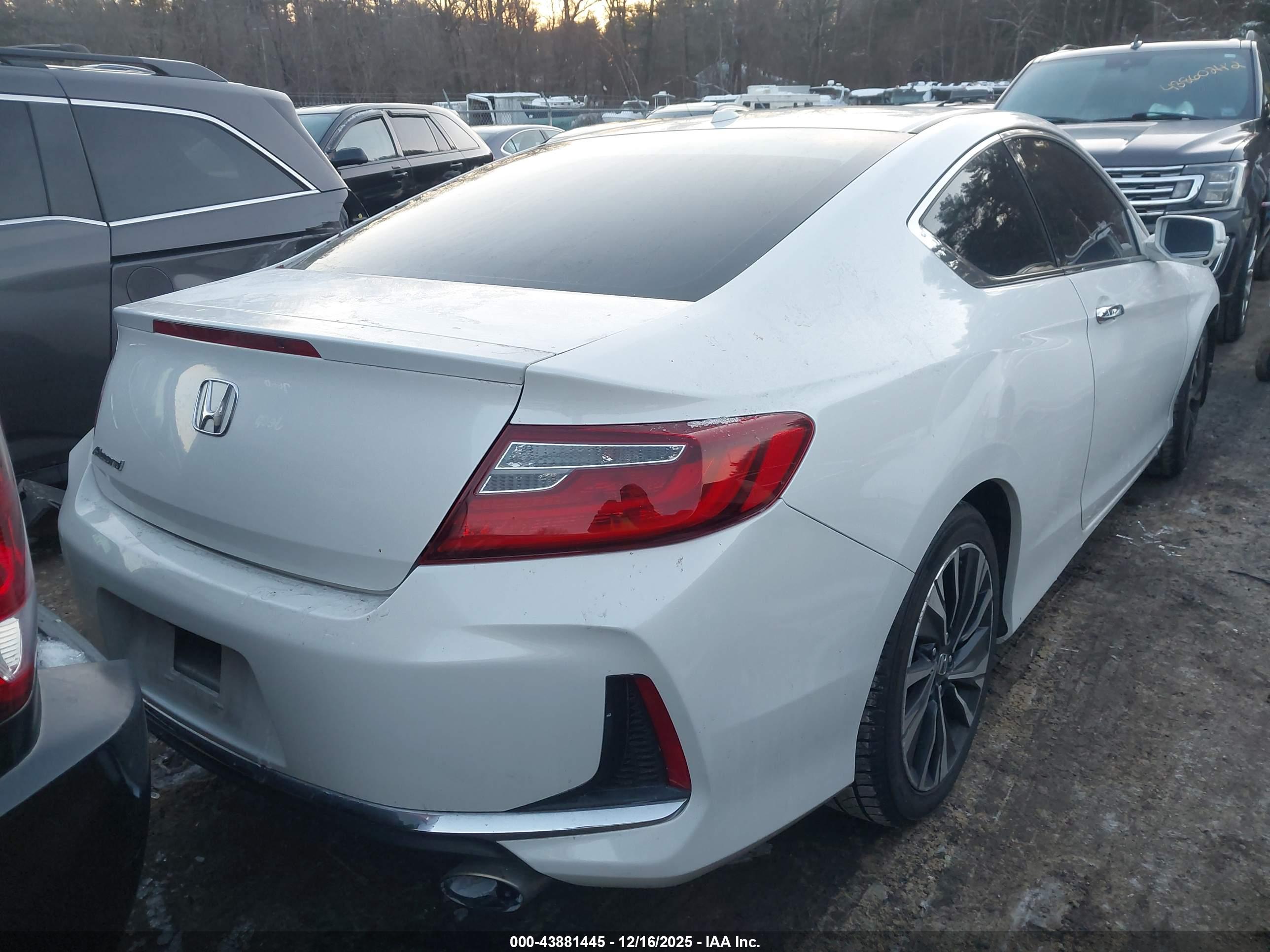 HONDA ACCORD image 4