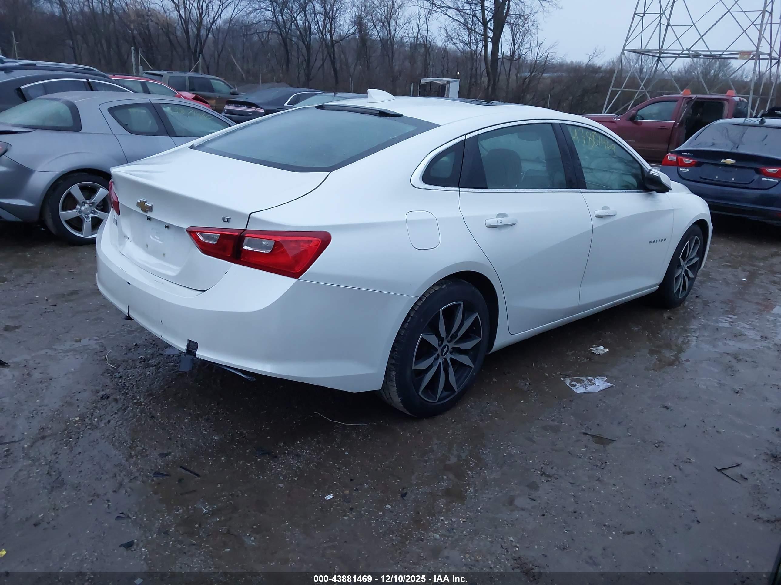 CHEVROLET MALIBU image 4