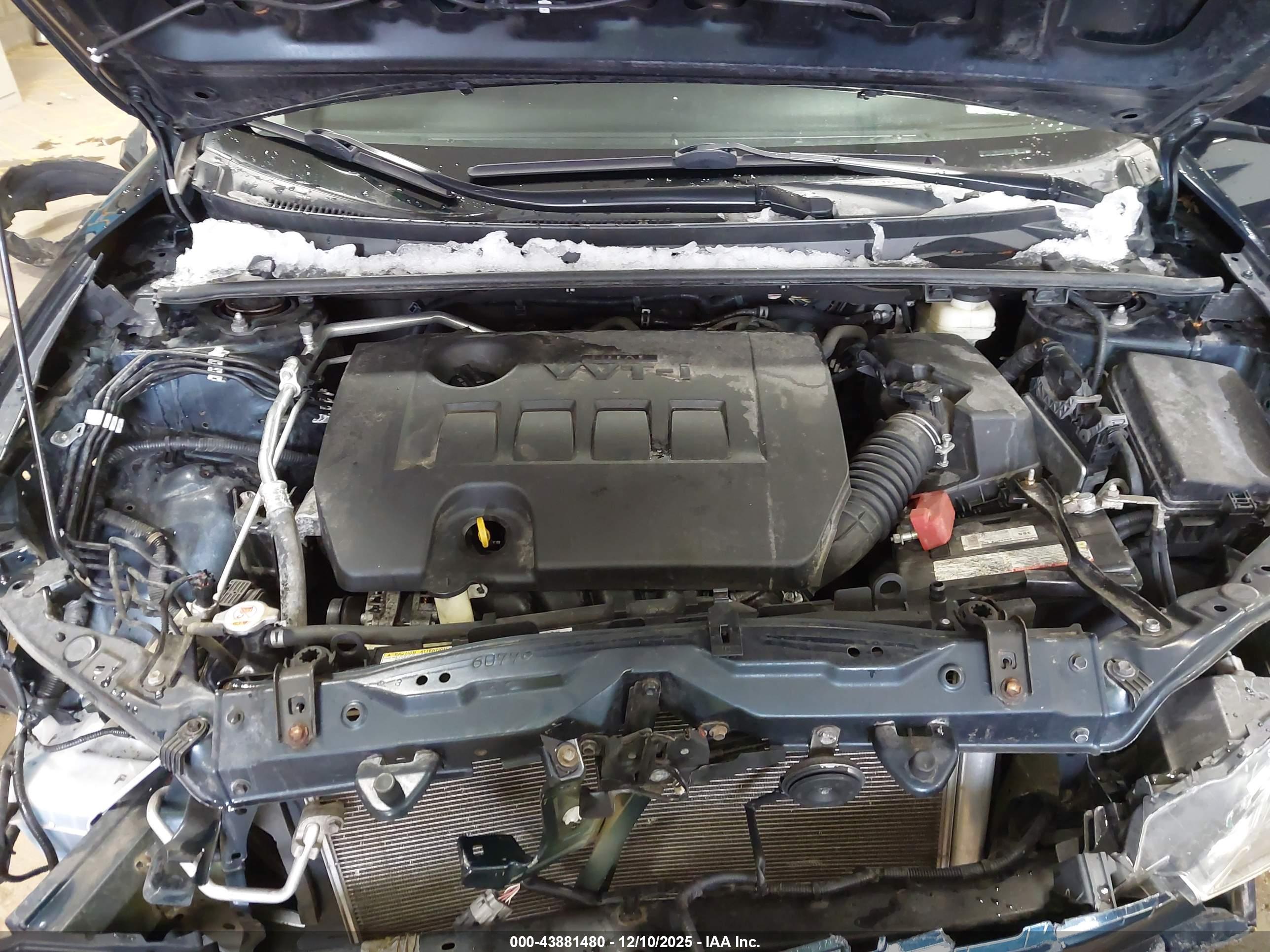 TOYOTA COROLLA image 10