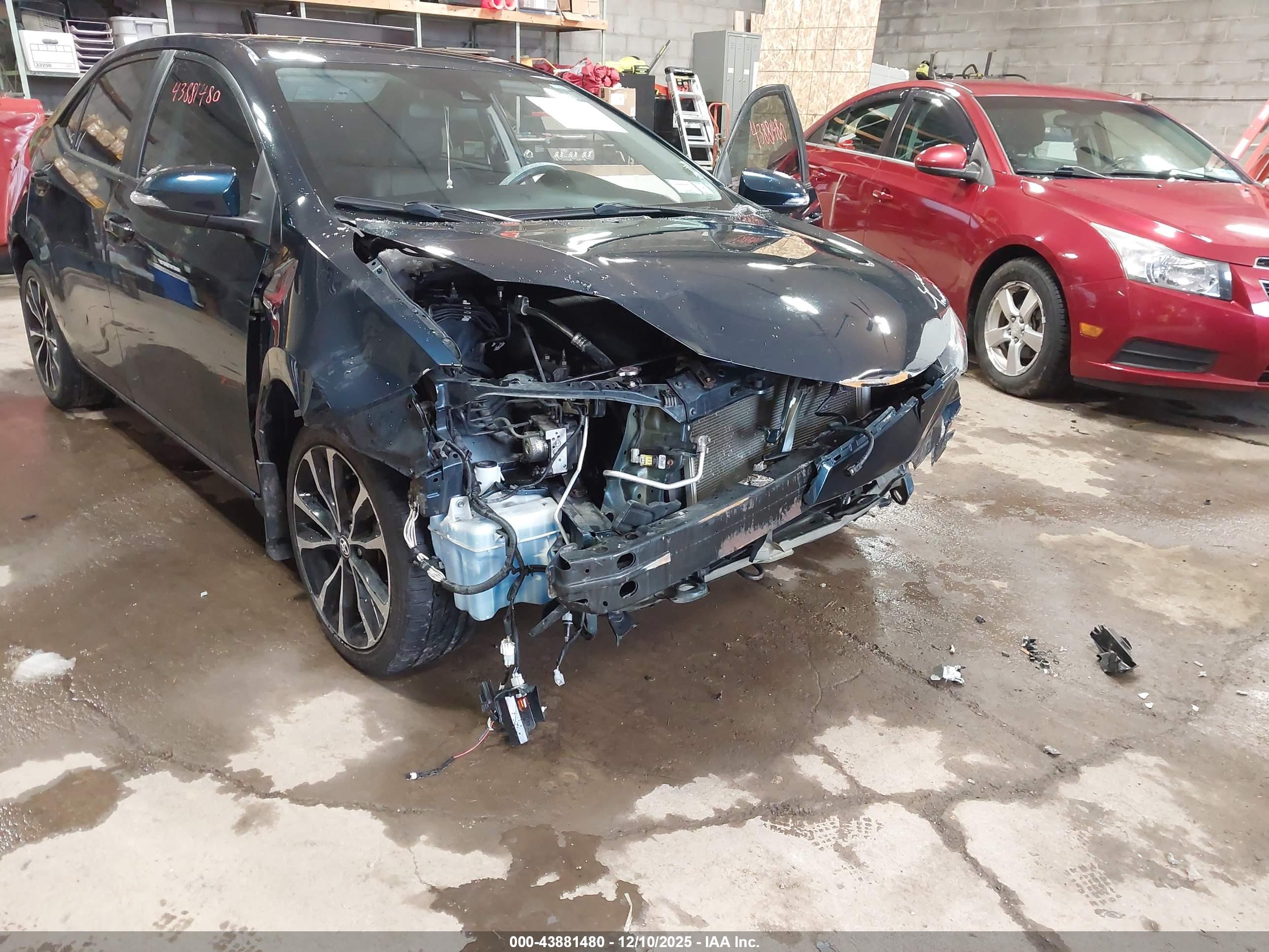 TOYOTA COROLLA image 6