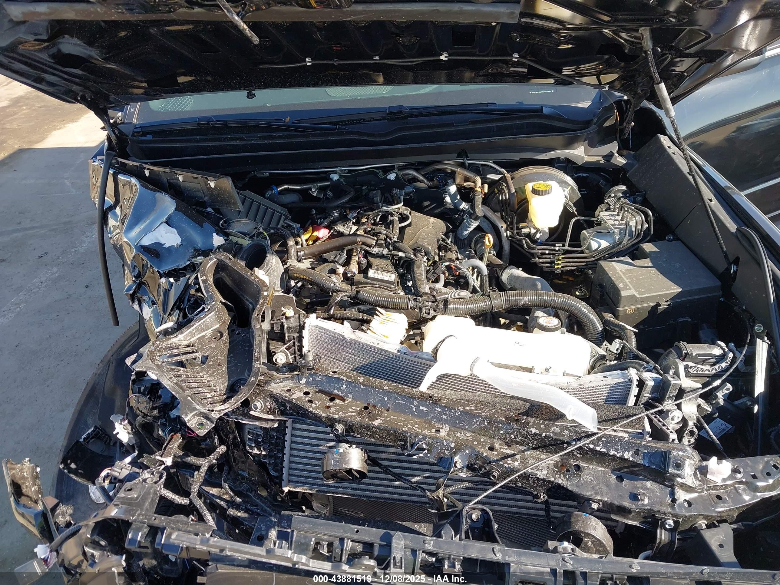 TOYOTA TACOMA image 10