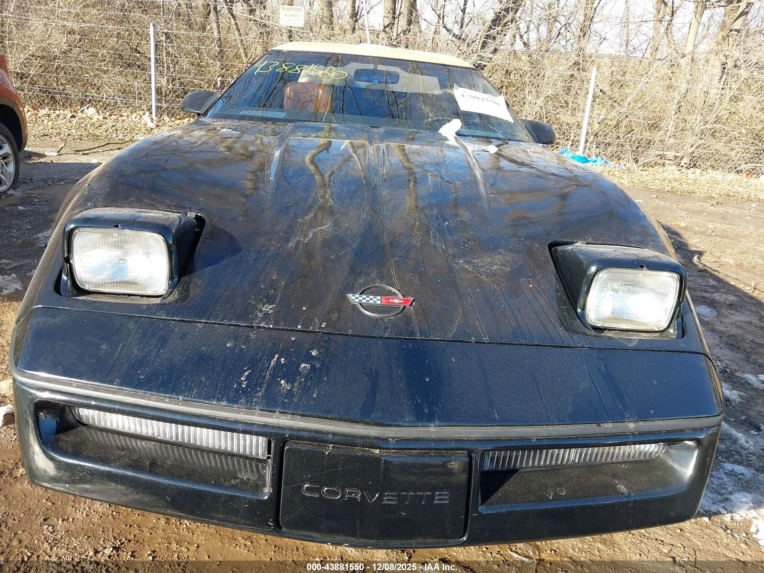 CHEVROLET CORVETTE image 6