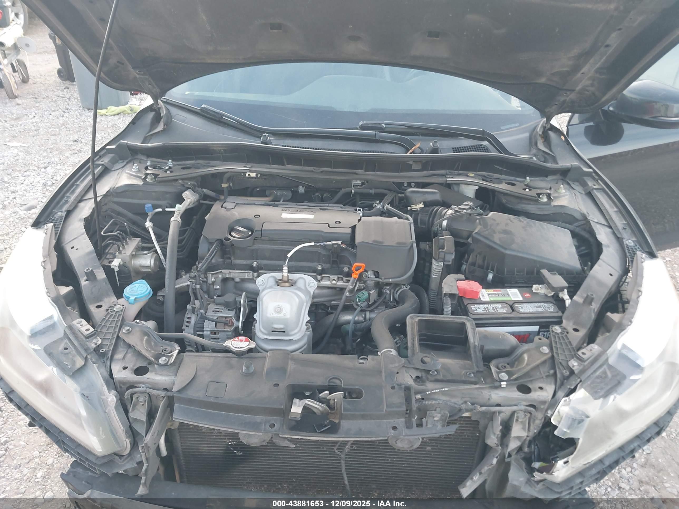 HONDA ACCORD image 10