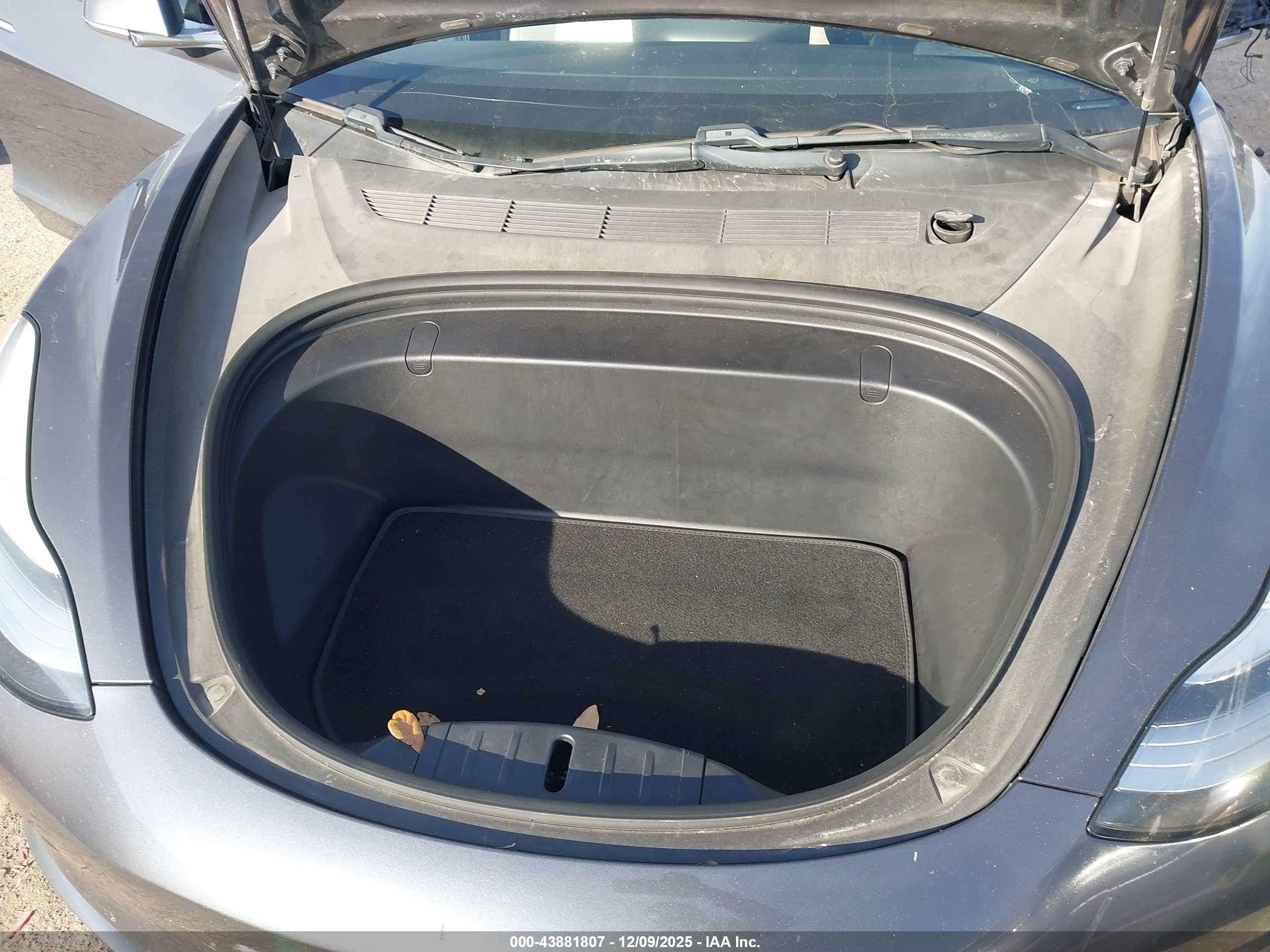 TESLA MODEL image 10