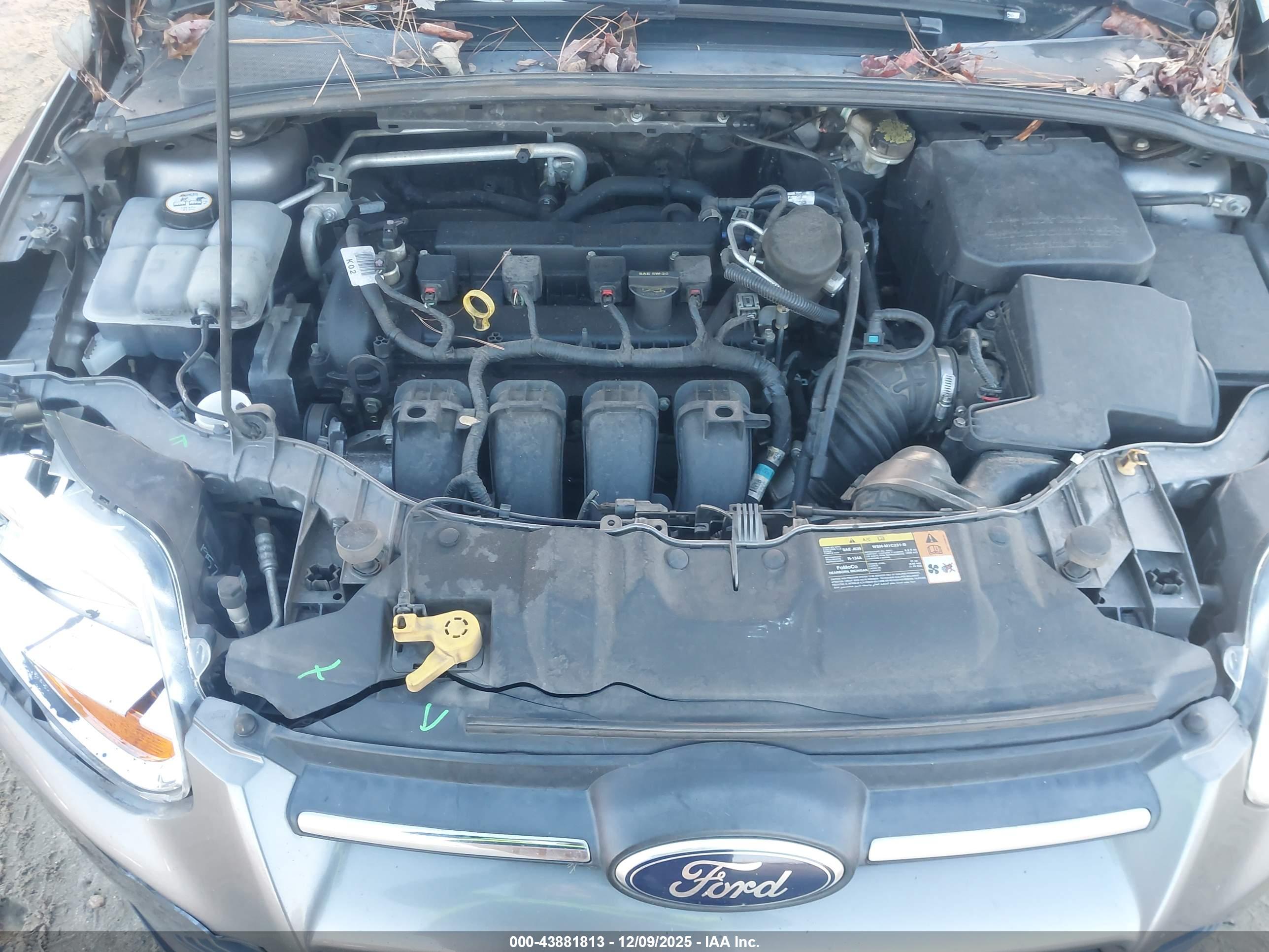 FORD FOCUS image 10