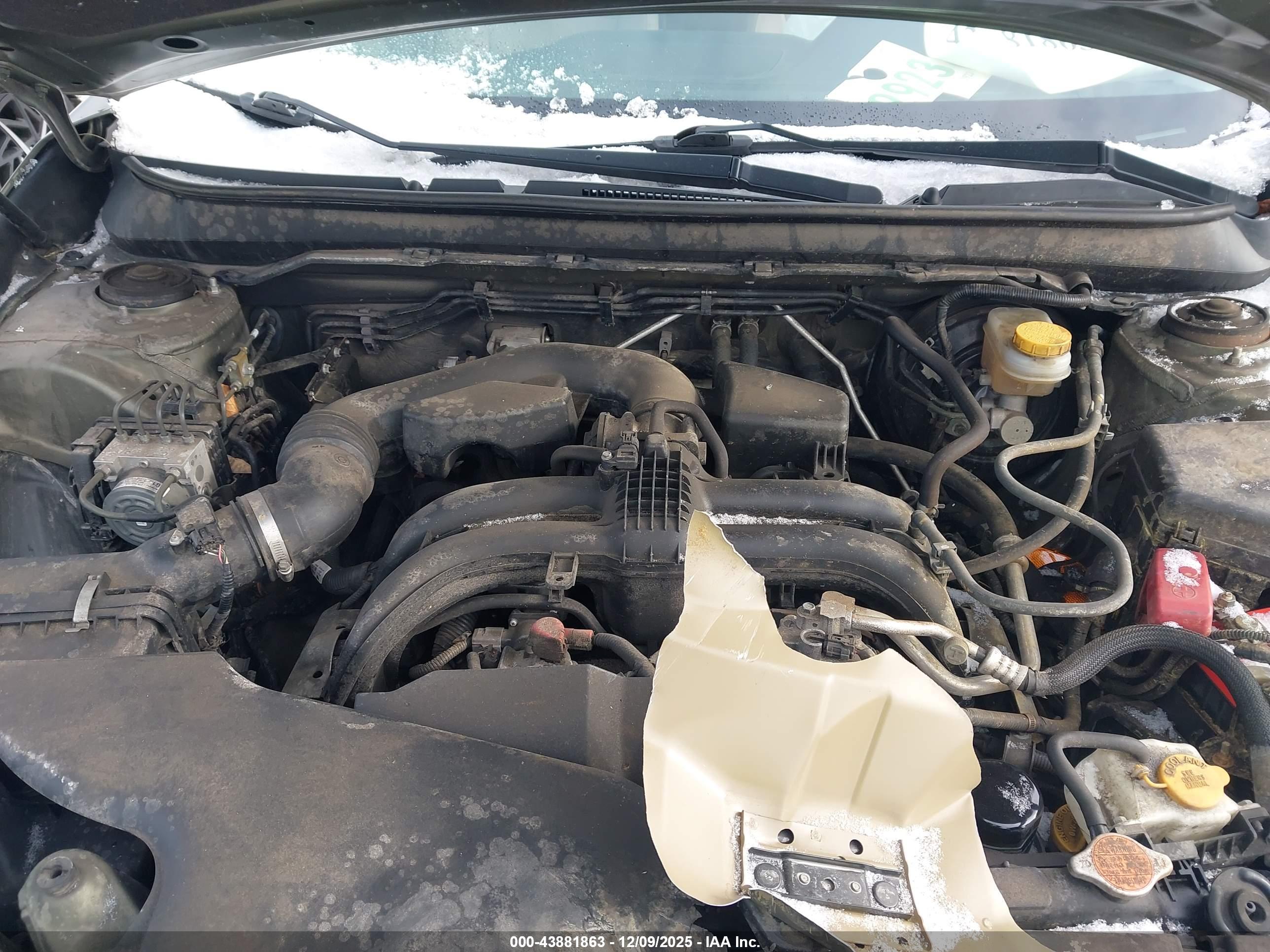 SUBARU OUTBACK image 10