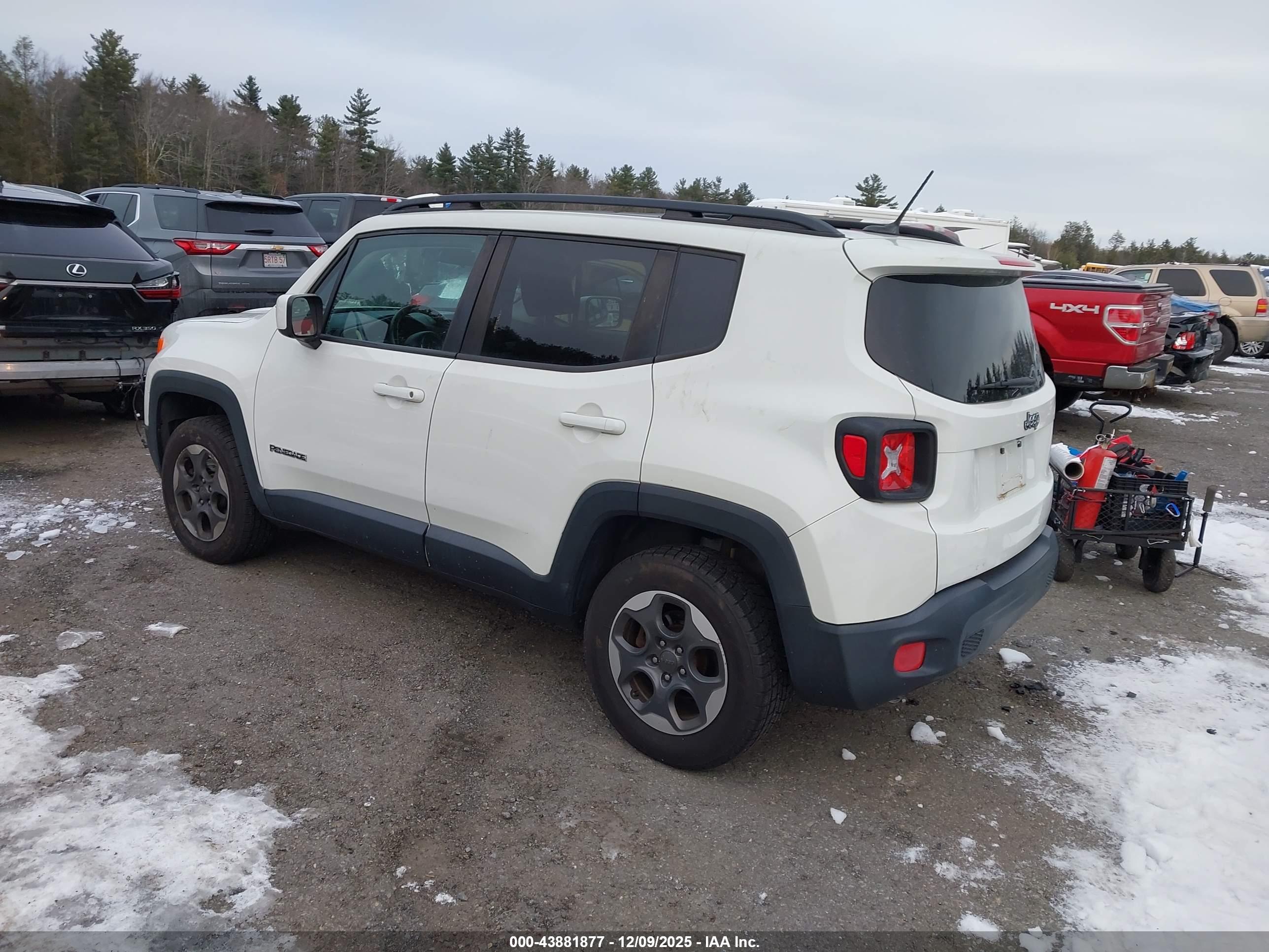 JEEP RENEGADE image 3