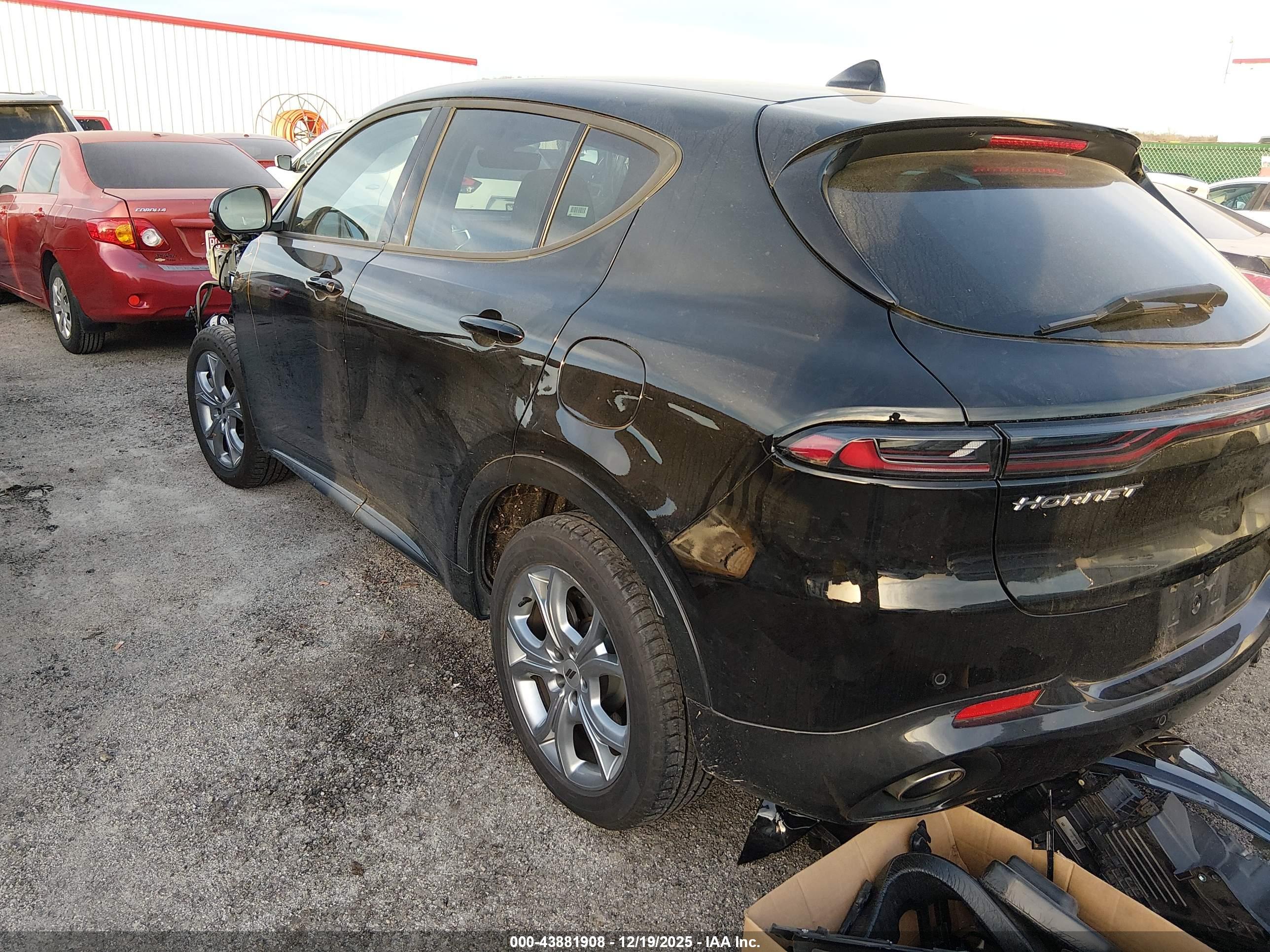 DODGE HORNET image 3