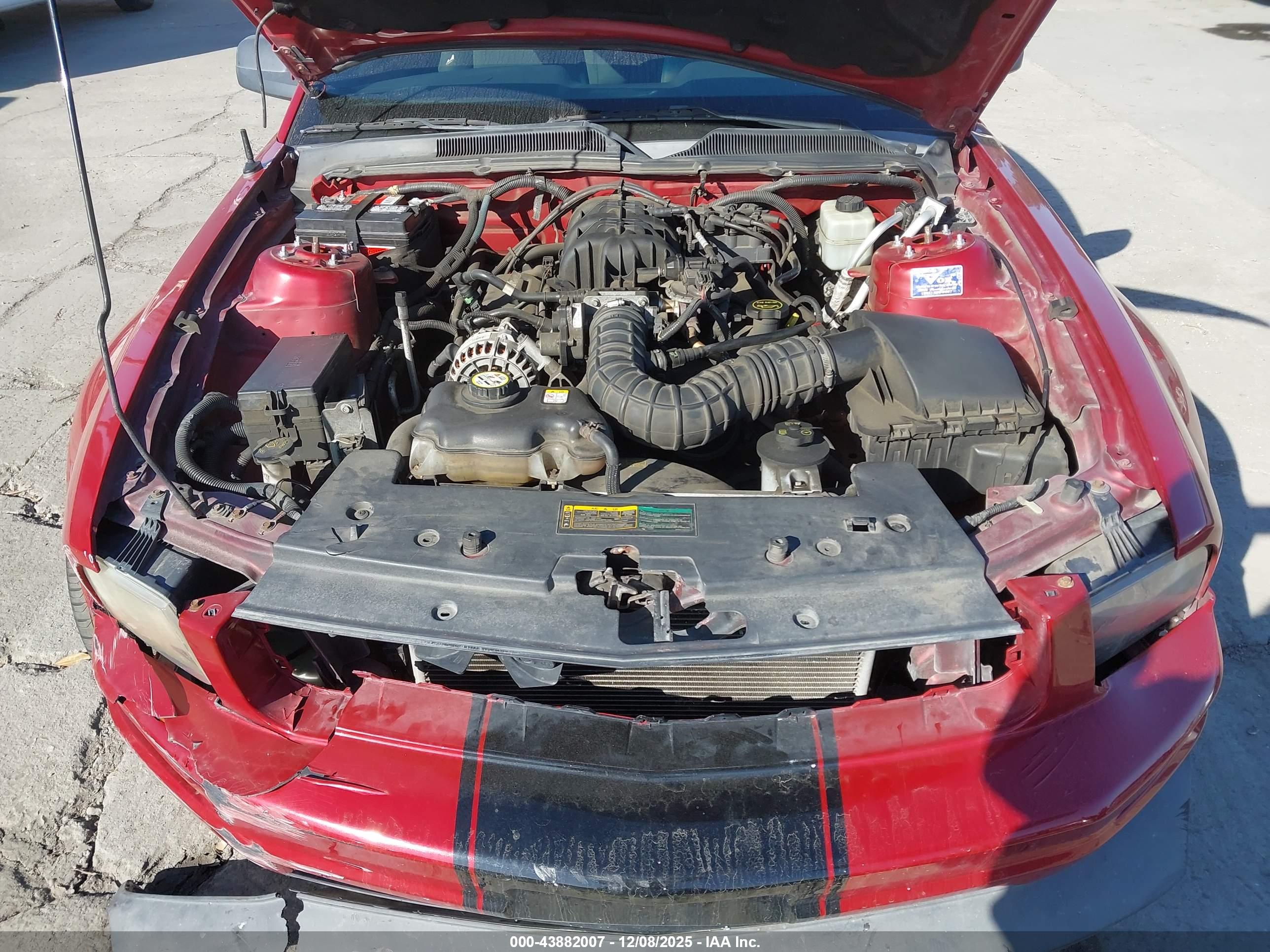 FORD MUSTANG image 10