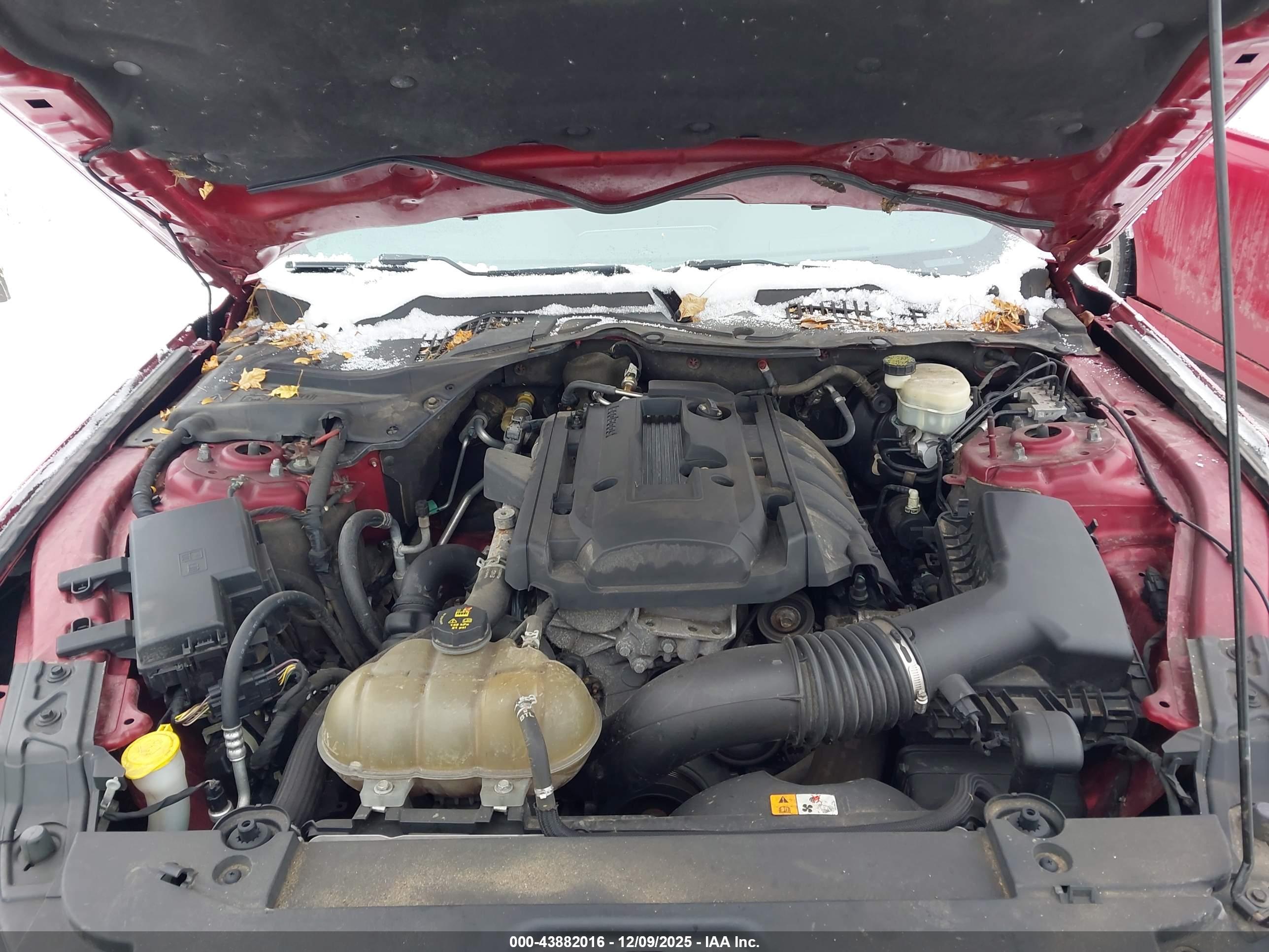 FORD MUSTANG image 10