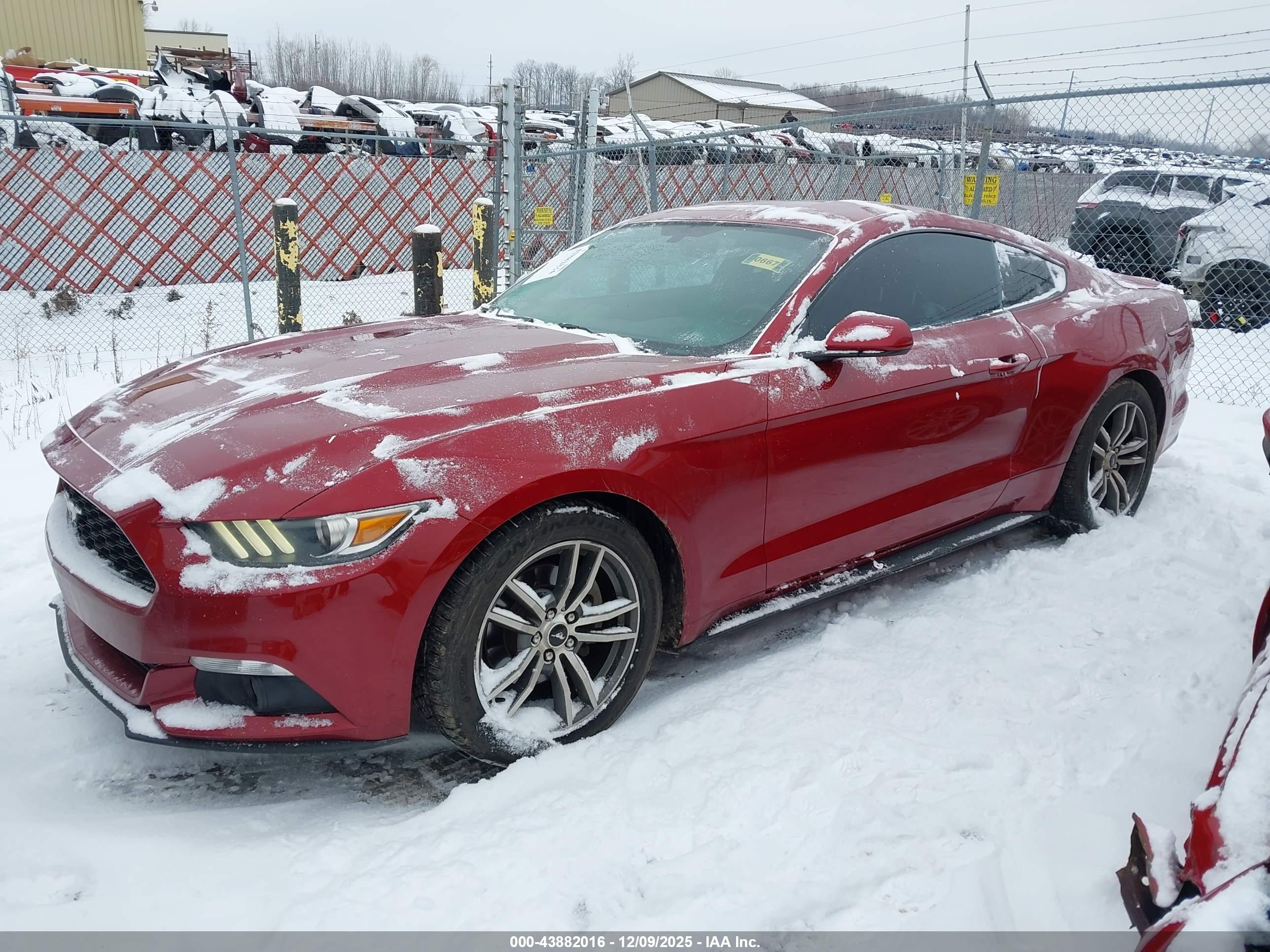 FORD MUSTANG image 2