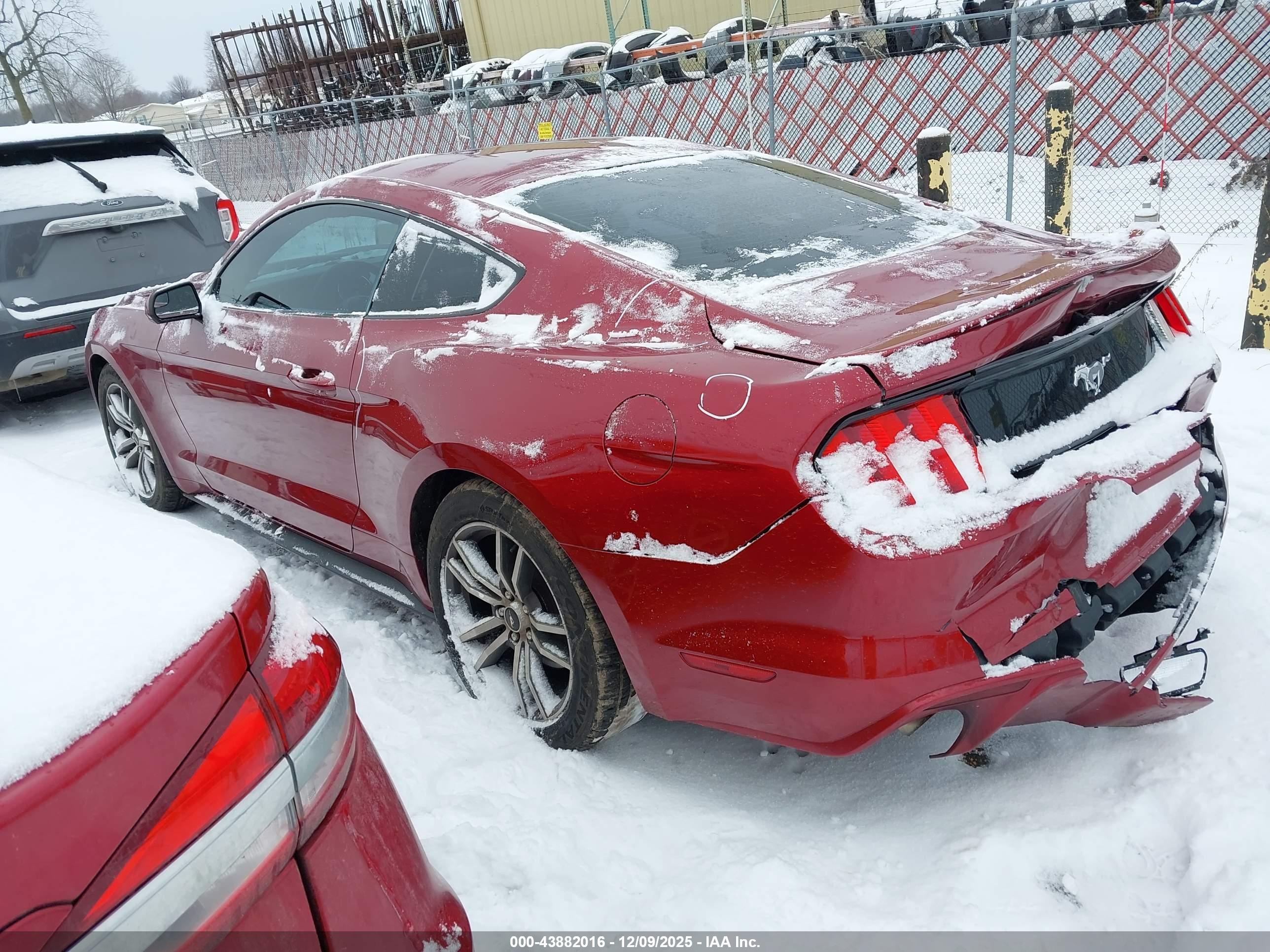 FORD MUSTANG image 3