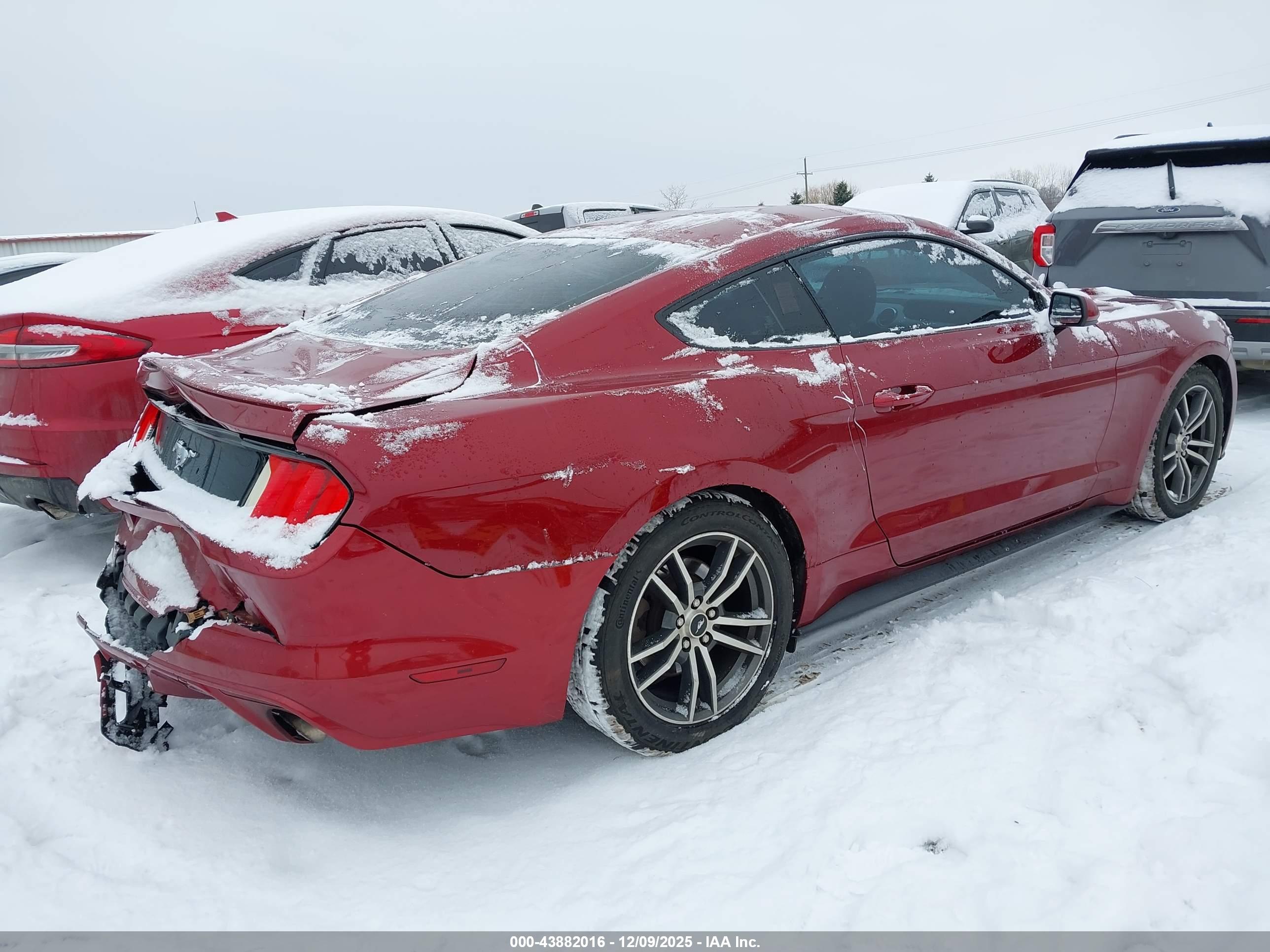 FORD MUSTANG image 4