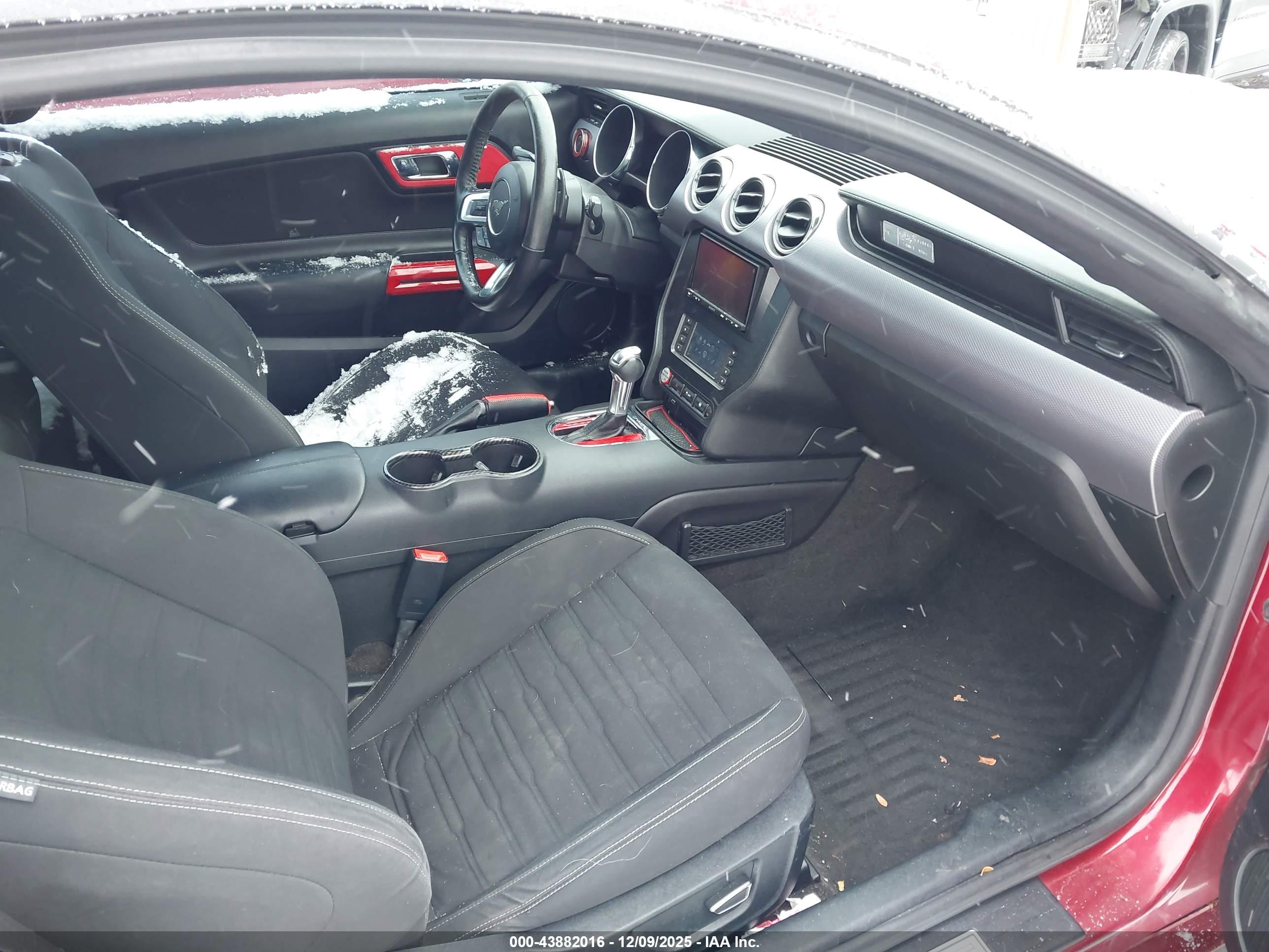 FORD MUSTANG image 5
