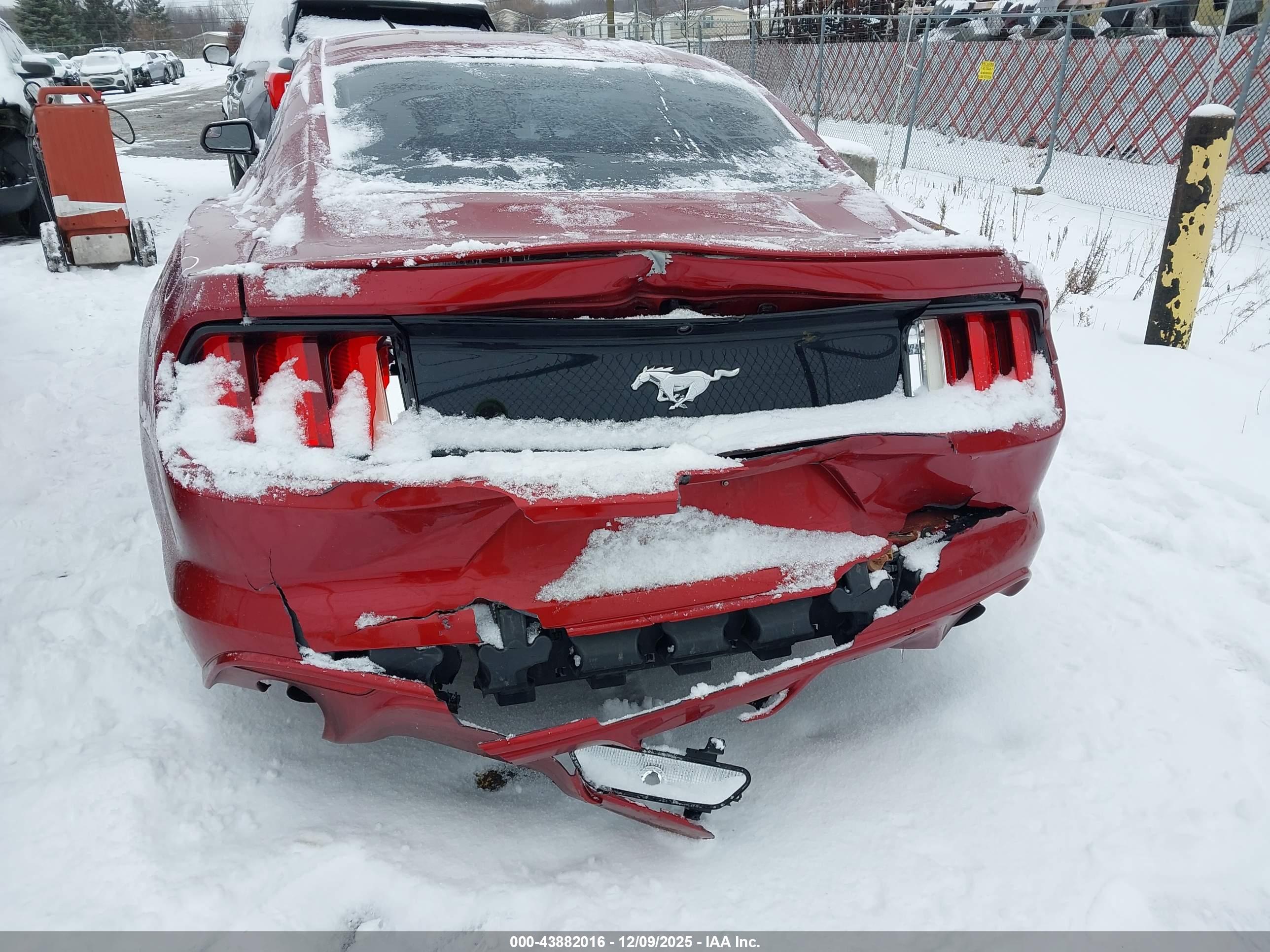 FORD MUSTANG image 6