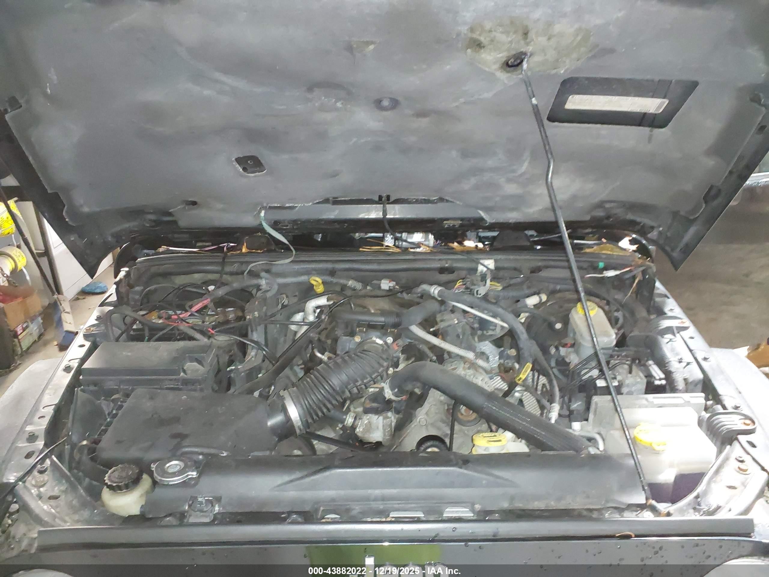 JEEP WRANGLER image 10